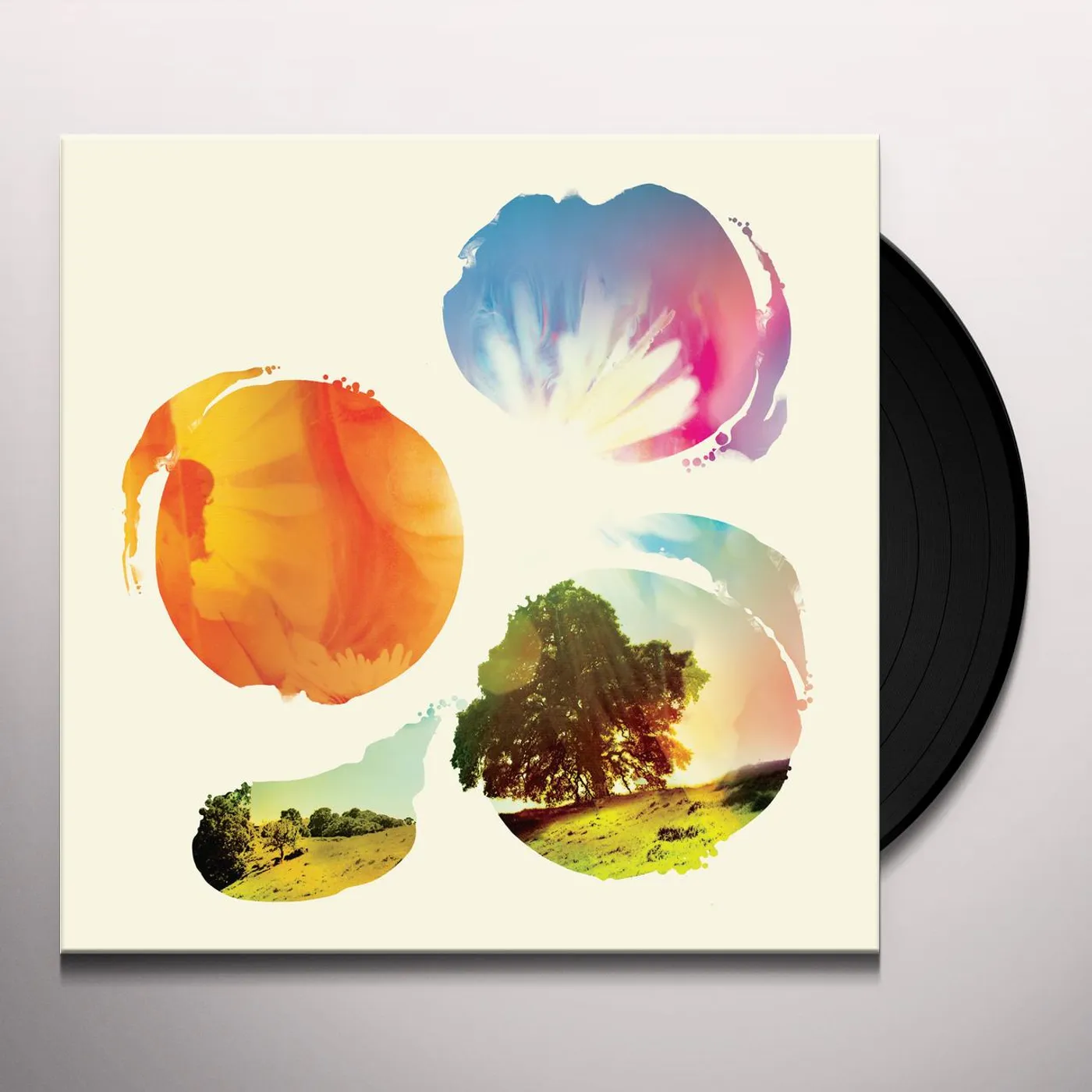 Tycho Past Is Prologue Vinyl Record