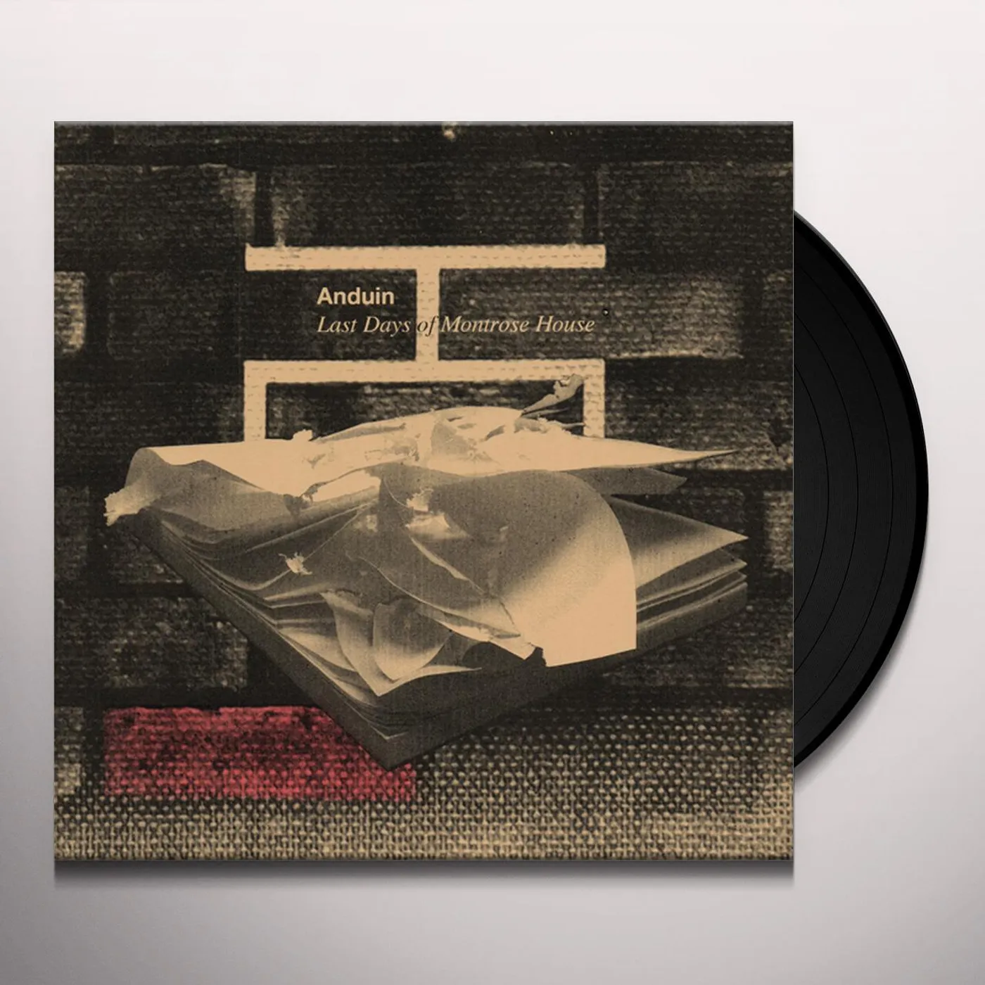 Anduin Last Days of Montrose House Vinyl Record