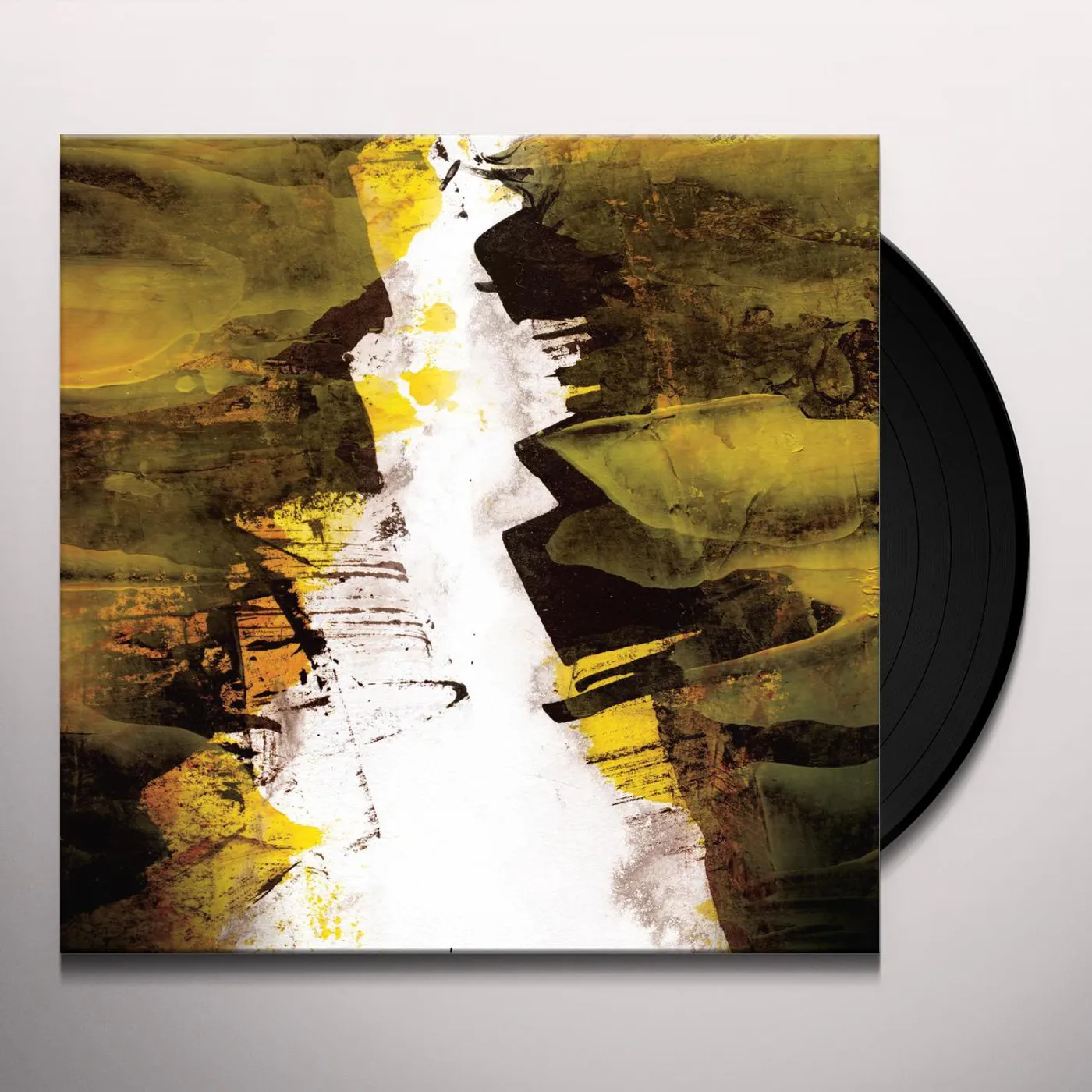 Lizzard Eroded Vinyl Record