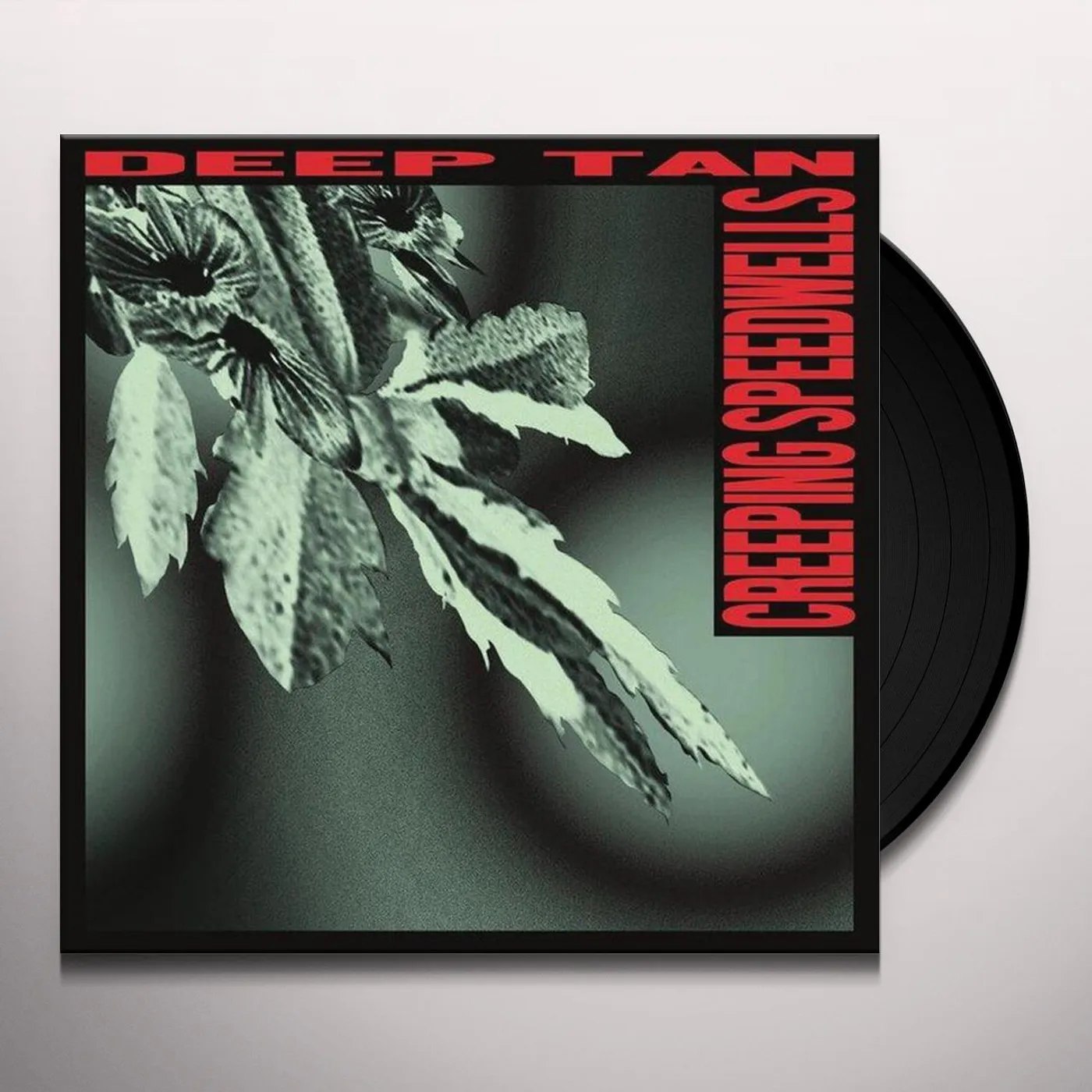 deep tan creeping speedwells Vinyl Record