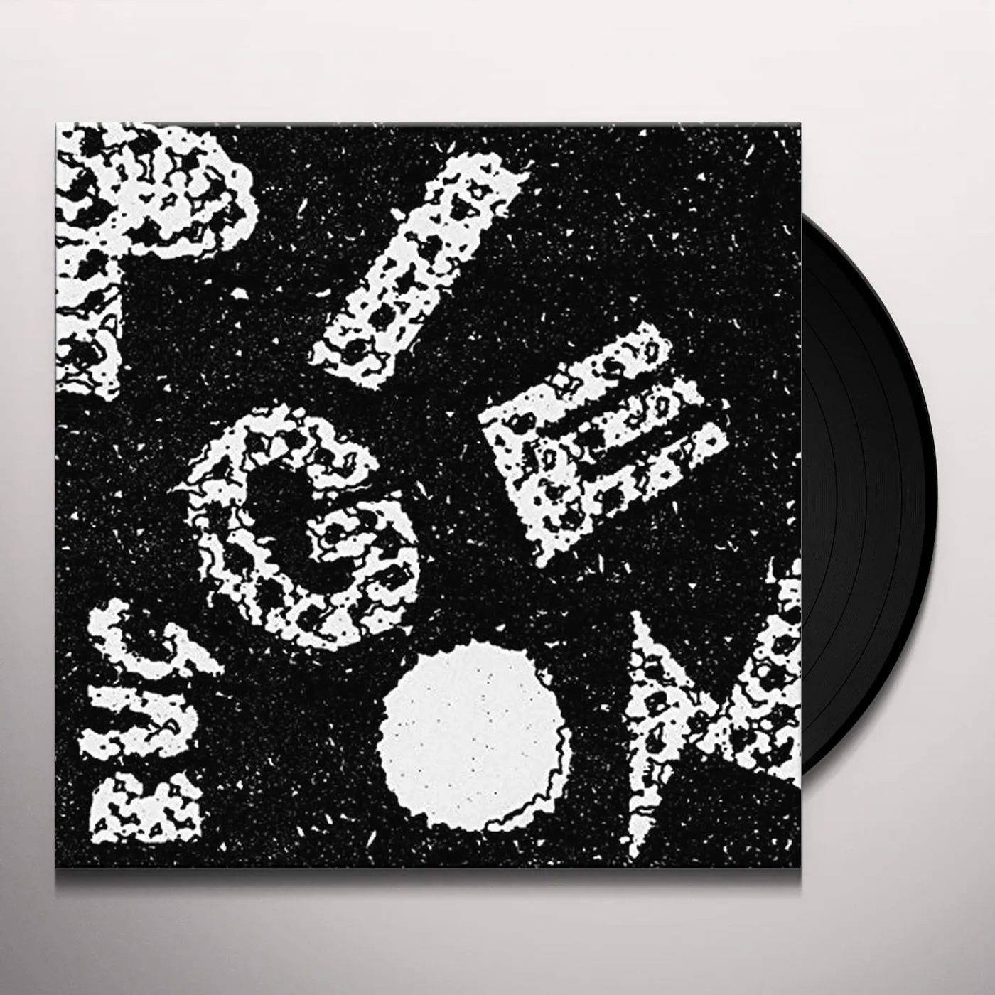 Pigeon Bug Vinyl Record