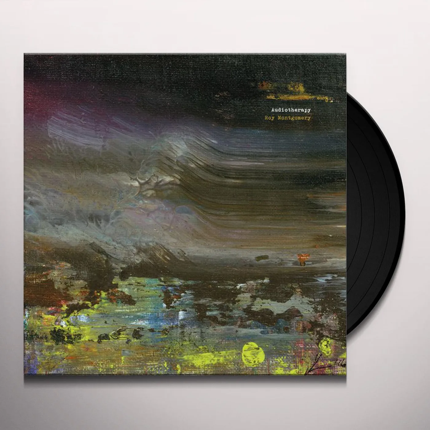 Roy Montgomery Audiotherapy Vinyl Record