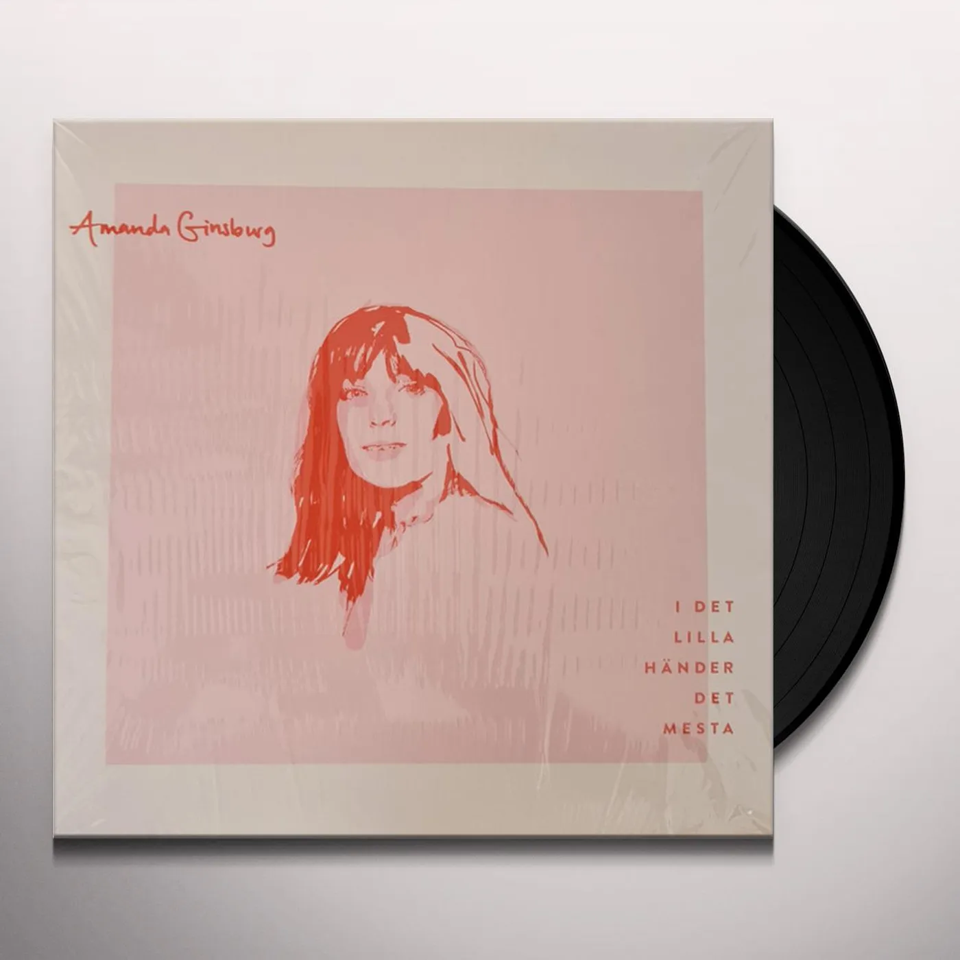 I DET LILLA HANDER DET MESTA / VARIOUS Vinyl Record