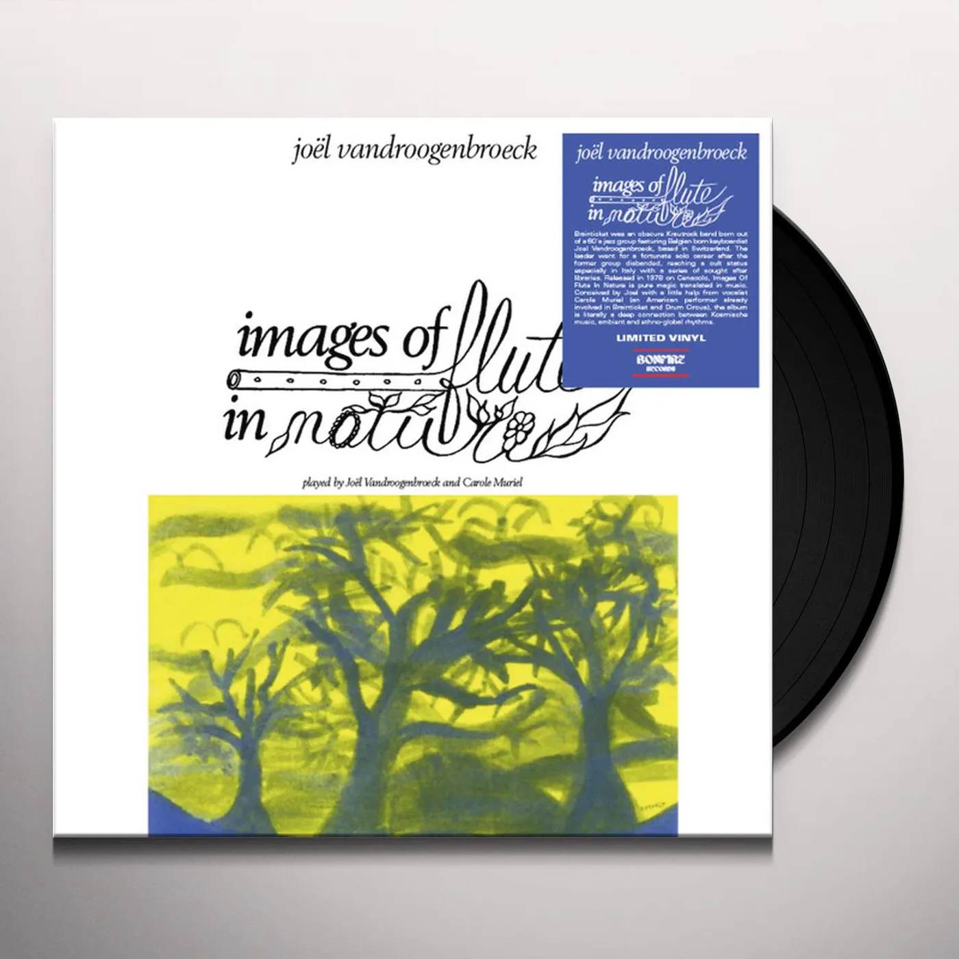 Joel Vandroogenbroeck Images of Flute in Nature Vinyl Record