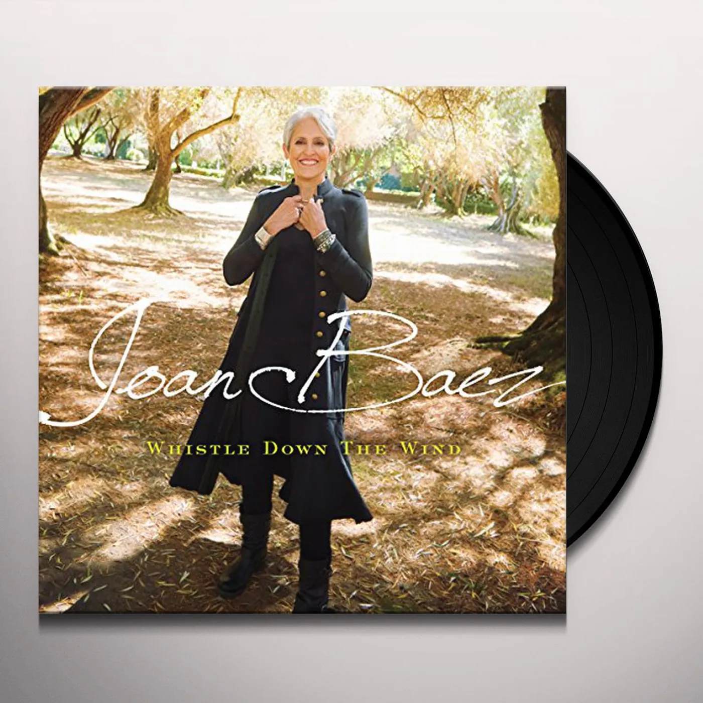 Joan Baez Whistle Down the Wind Vinyl Record