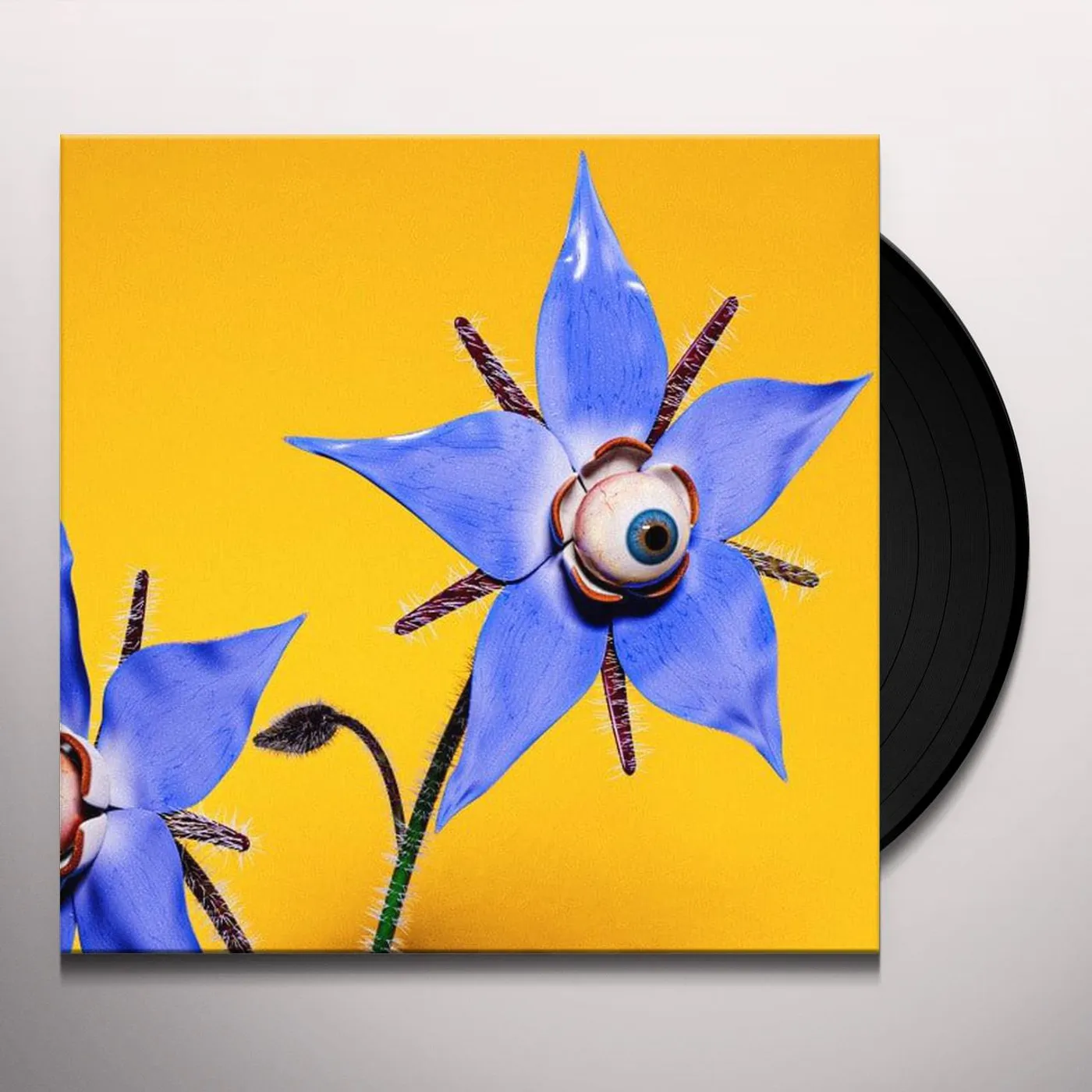 Barry Can't Swim More Content Vinyl Record