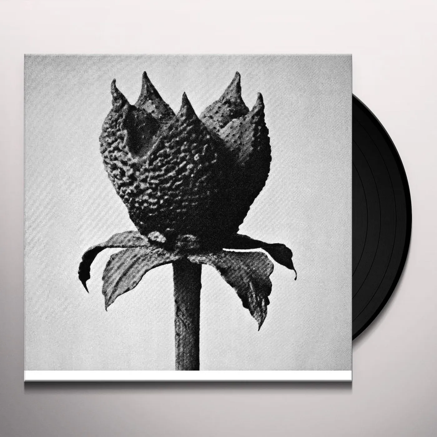 Masayoshi Fujita Book of Life Vinyl Record