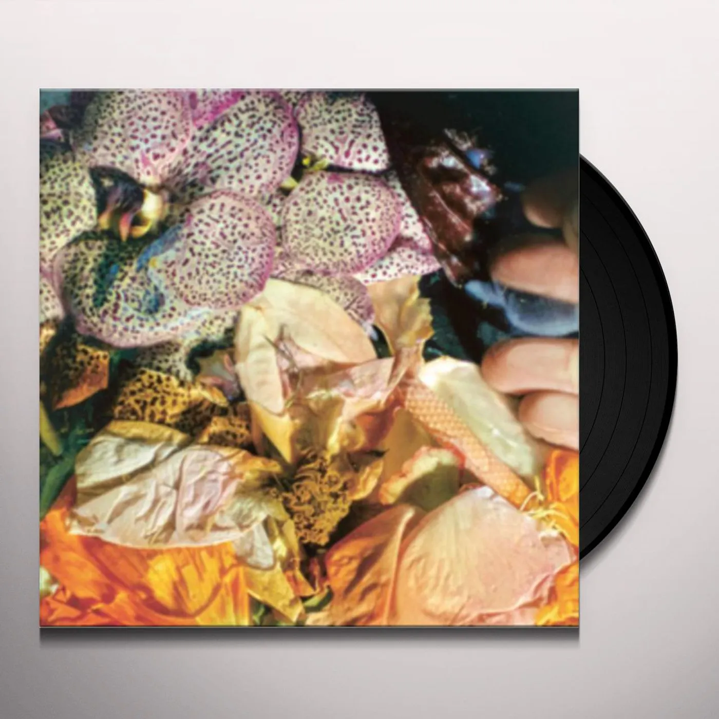 Soela GENUINE SILK Vinyl Record