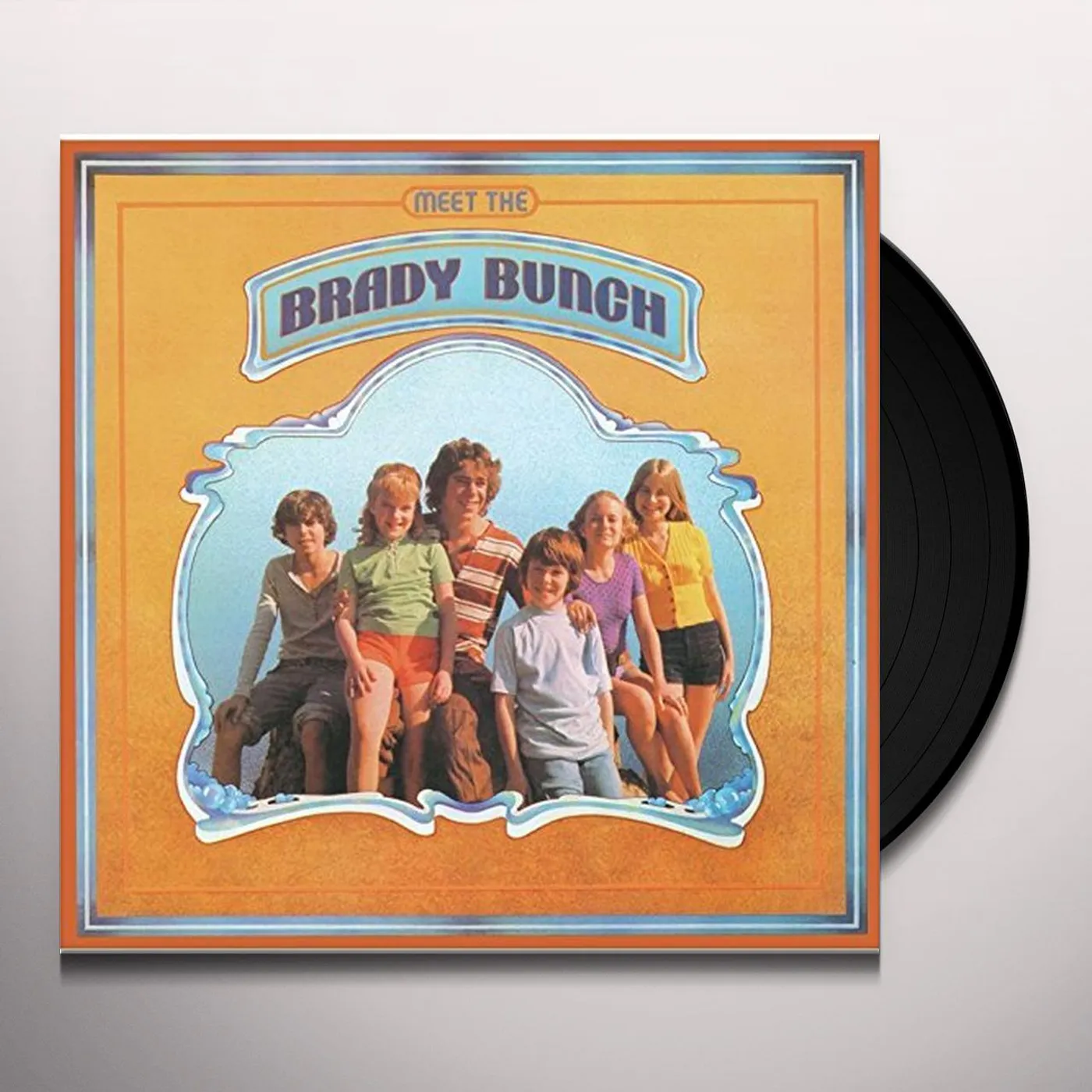 Meet The Brady Bunch Vinyl Record