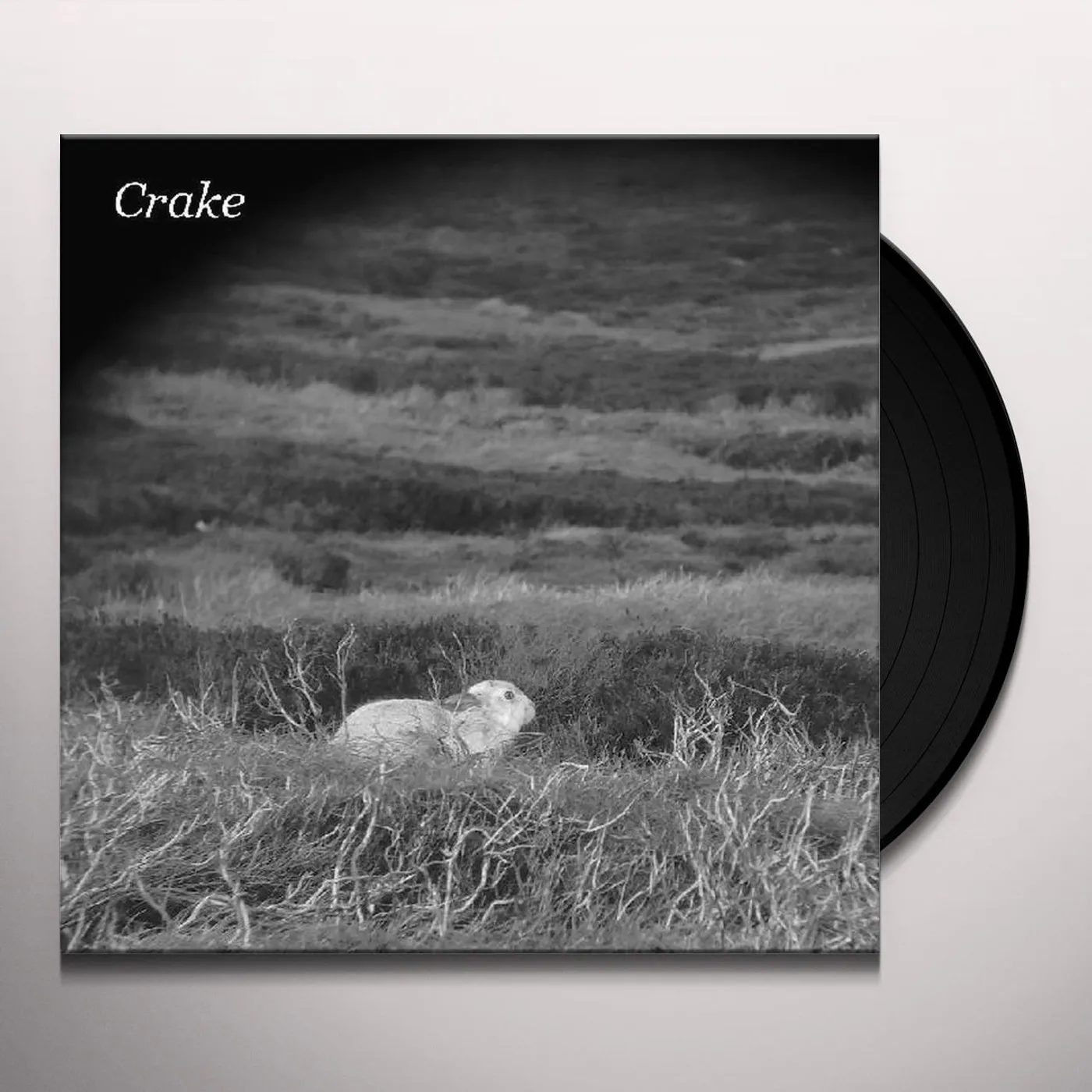 Crake ENOUGH SALT (FOR ALL DOGS) / GEF Vinyl Record