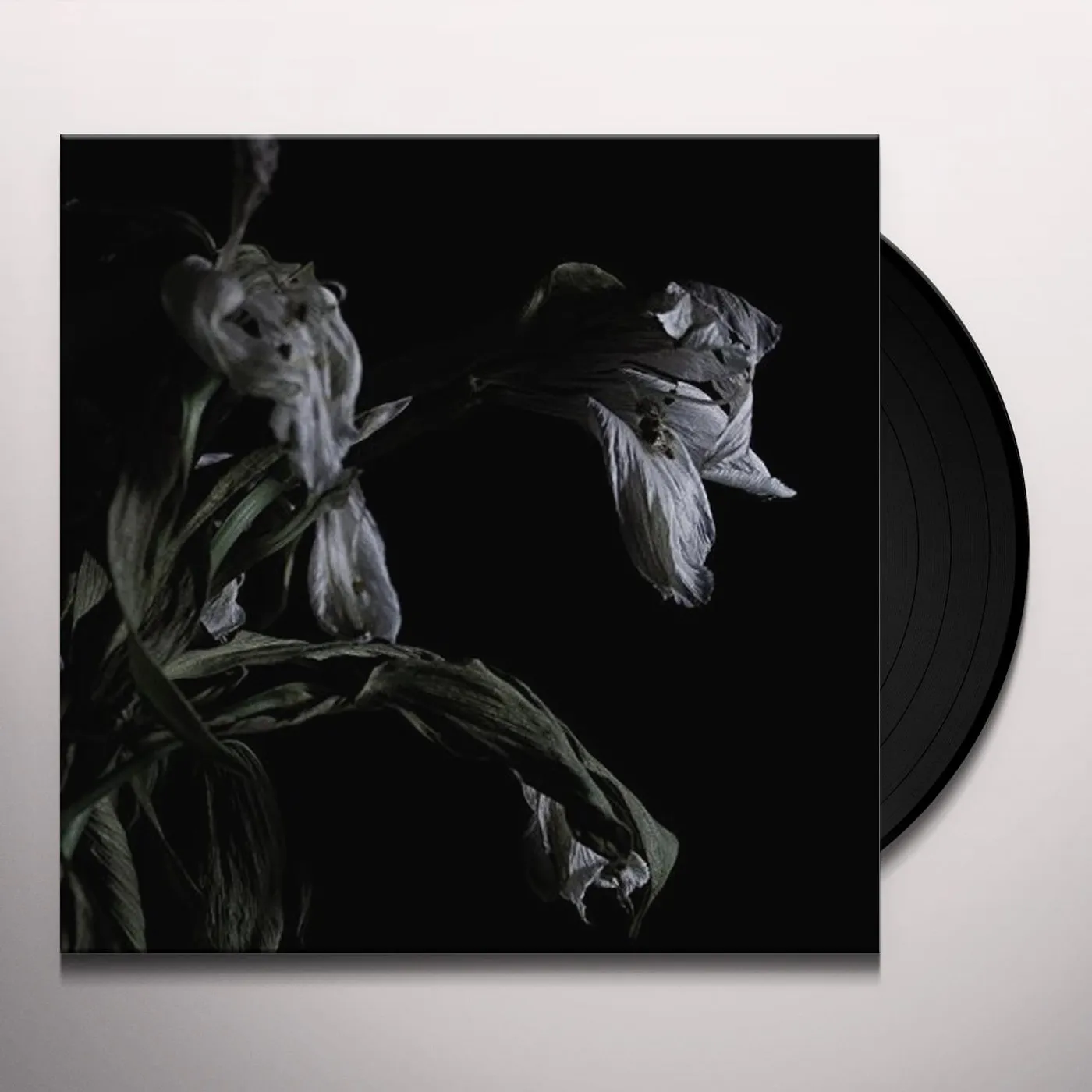Cavernlight As We Cup Our Hands And Drink From The Stream Of Our Ache Vinyl Record