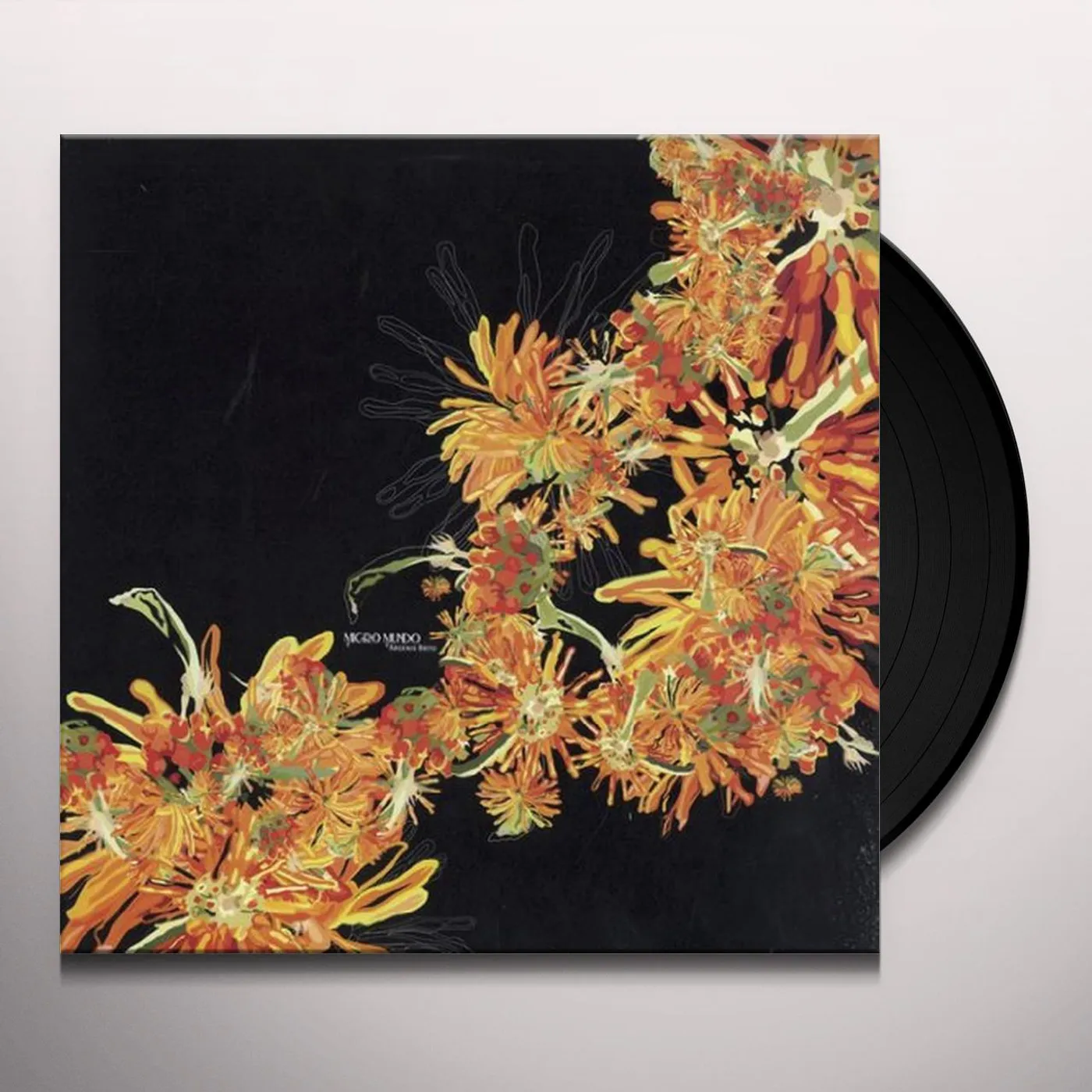 Argenis Brito Micro Mundo Vinyl Record