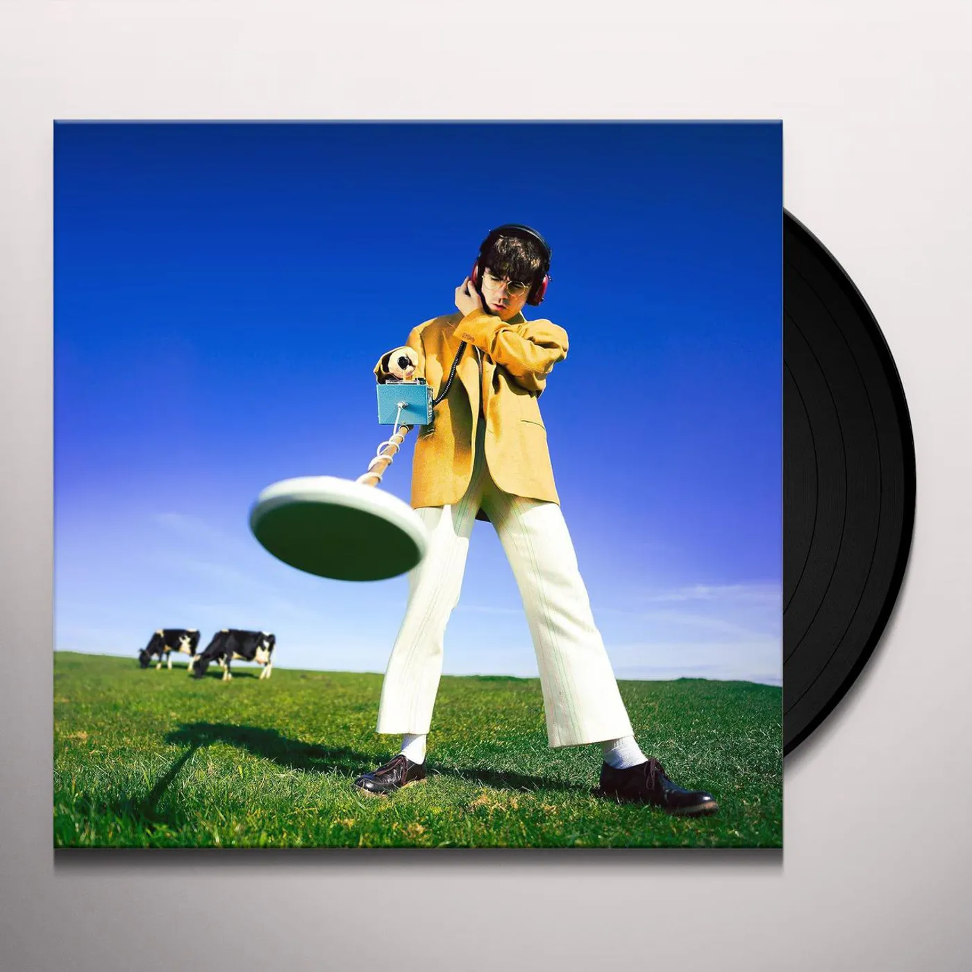 Declan McKenna What Happened To The Beach Vinyl Record