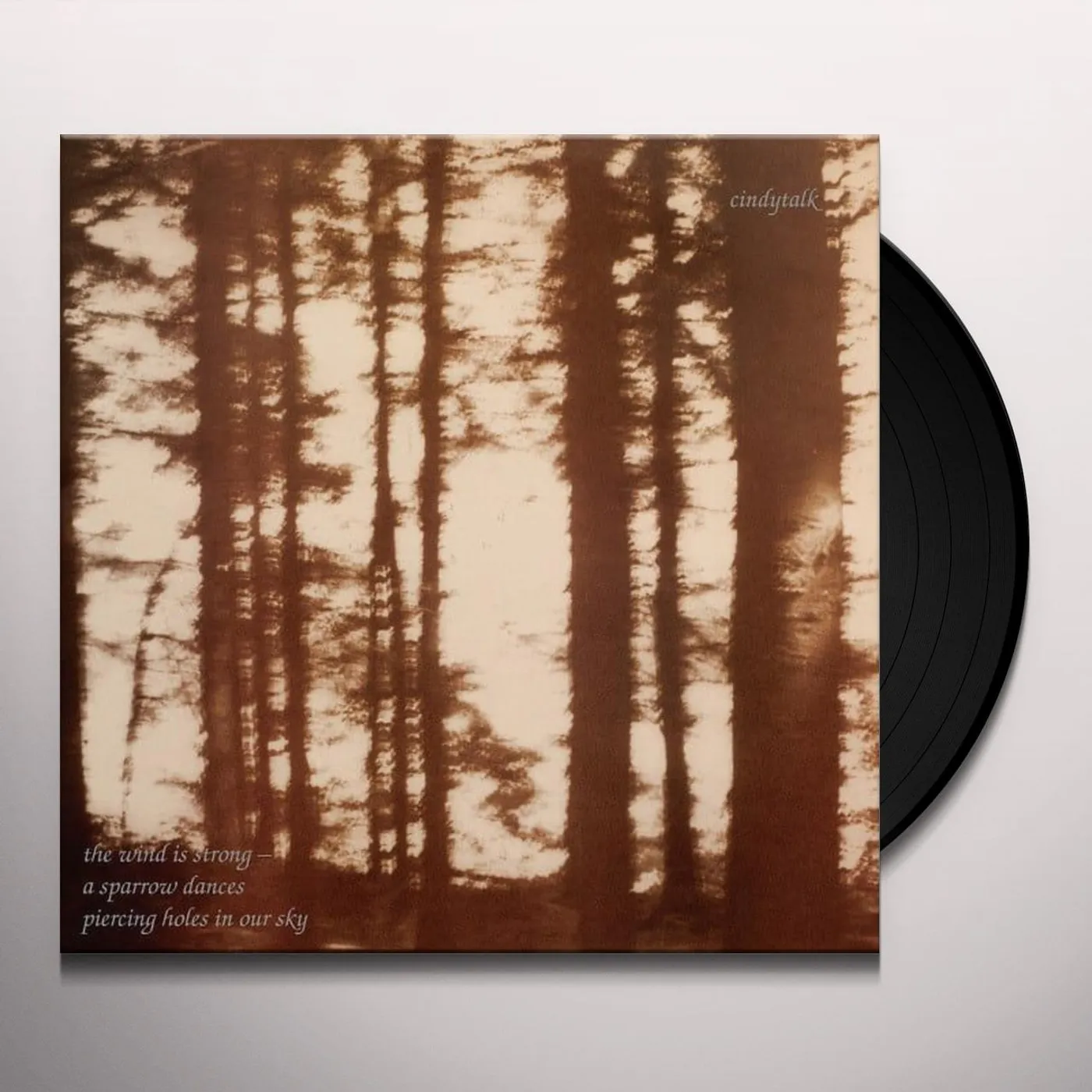 Cindytalk WIND IS STRONG Vinyl Record
