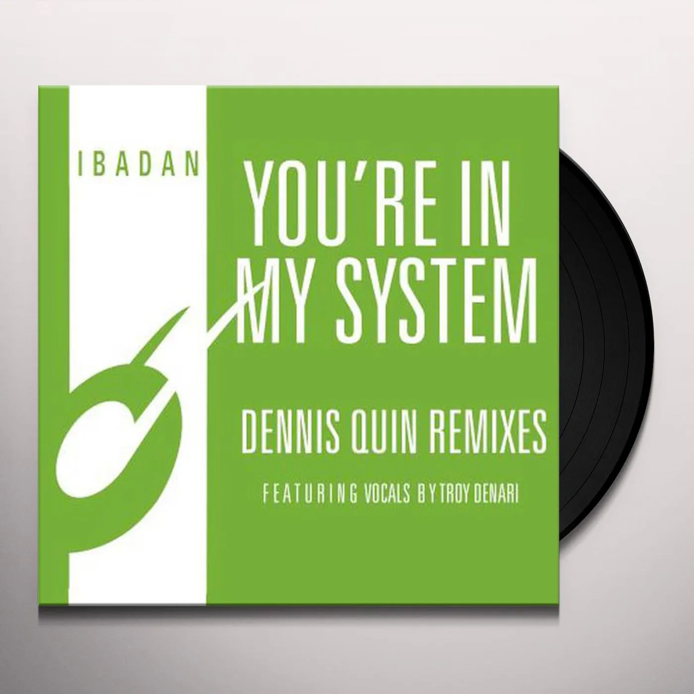Jerome Sydenham/Kerri Chandler YOU'RE IN MY SYSTEM Vinyl Record