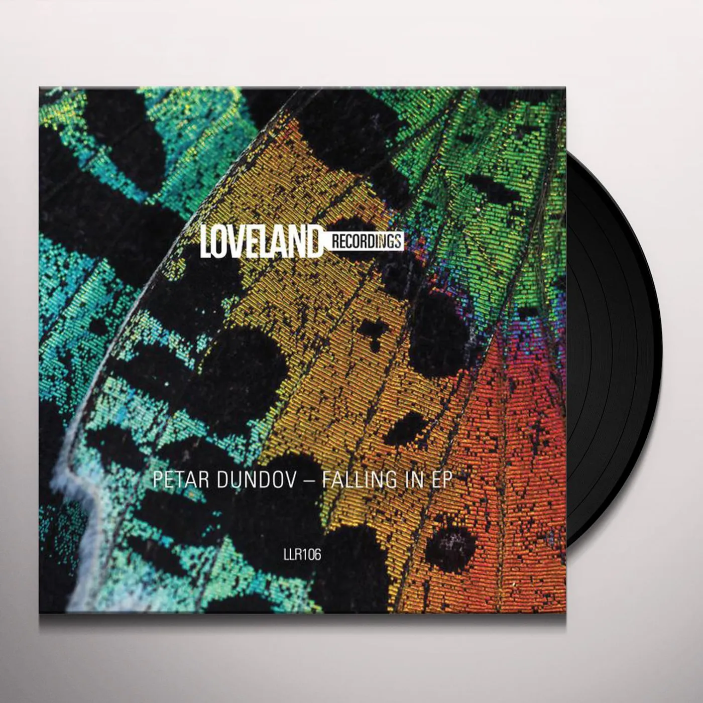 Petar Dundov FALLING IN Vinyl Record