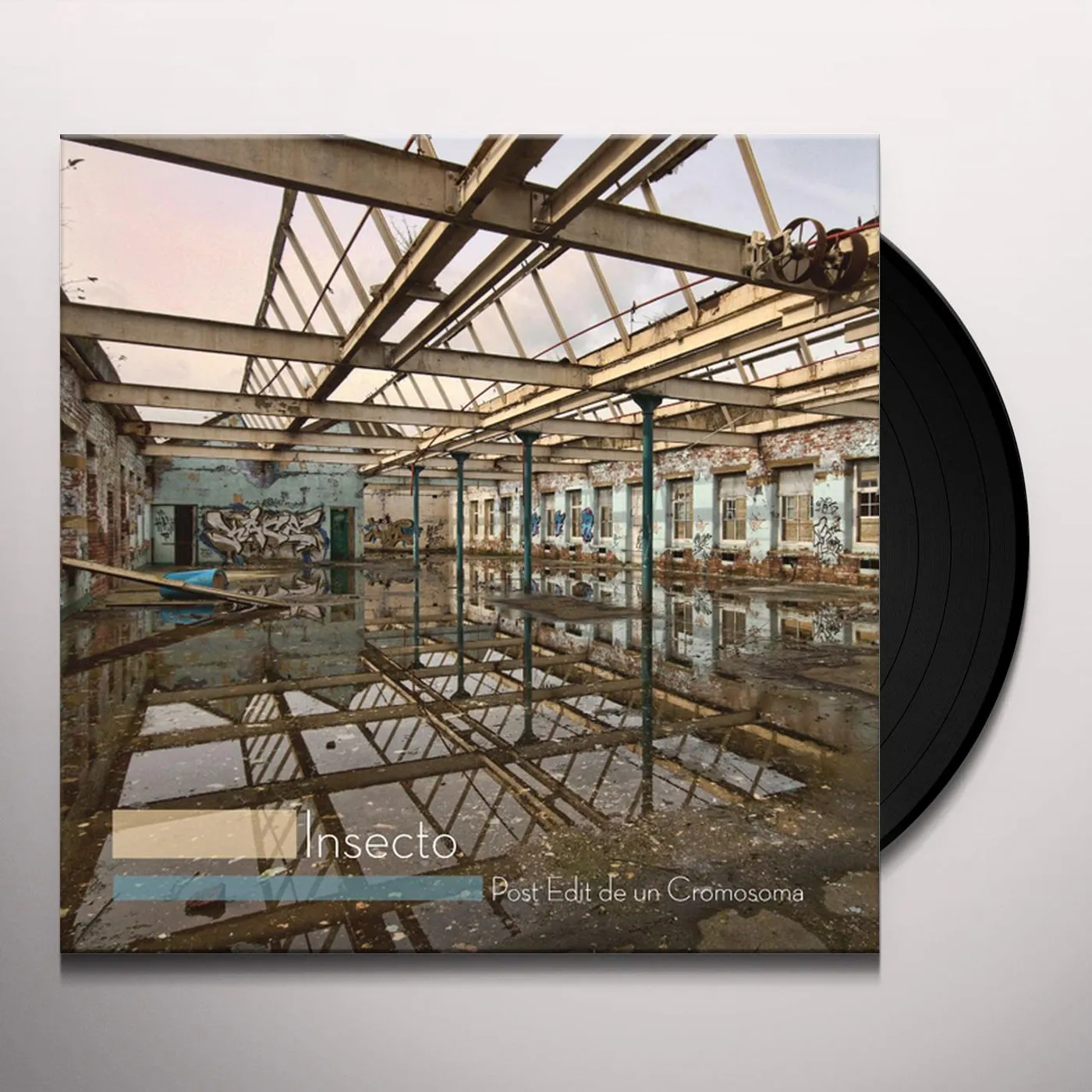 INSECTO POST EDIT DE UN CROMOSOMA Vinyl Record