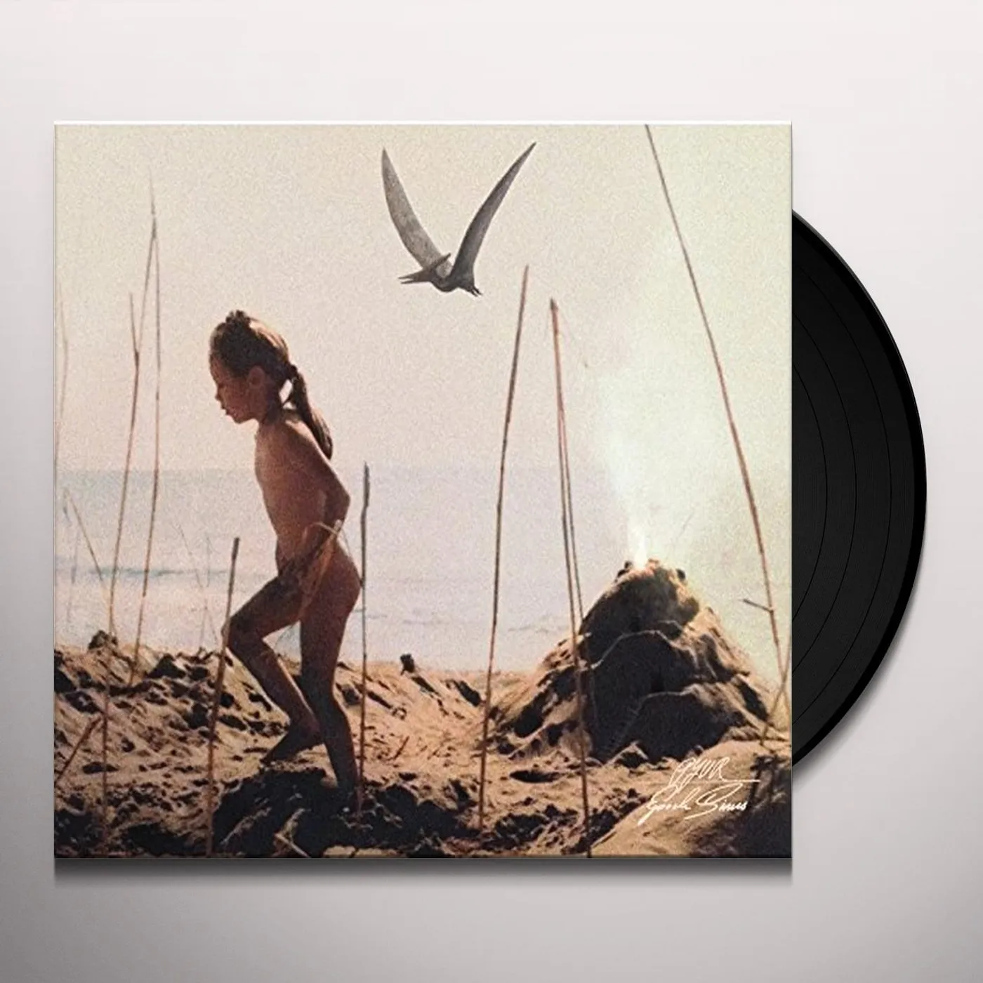 Pyur Epoch Sinus Vinyl Record