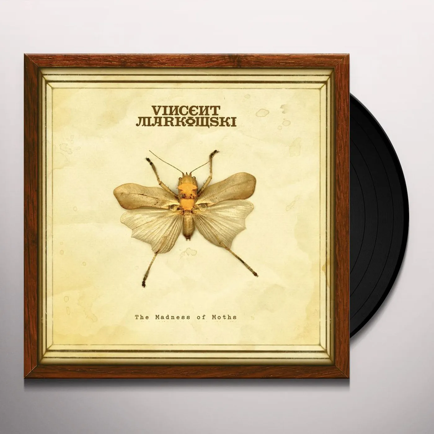 Vincent Markowski MADNESS OF MOTHS Vinyl Record