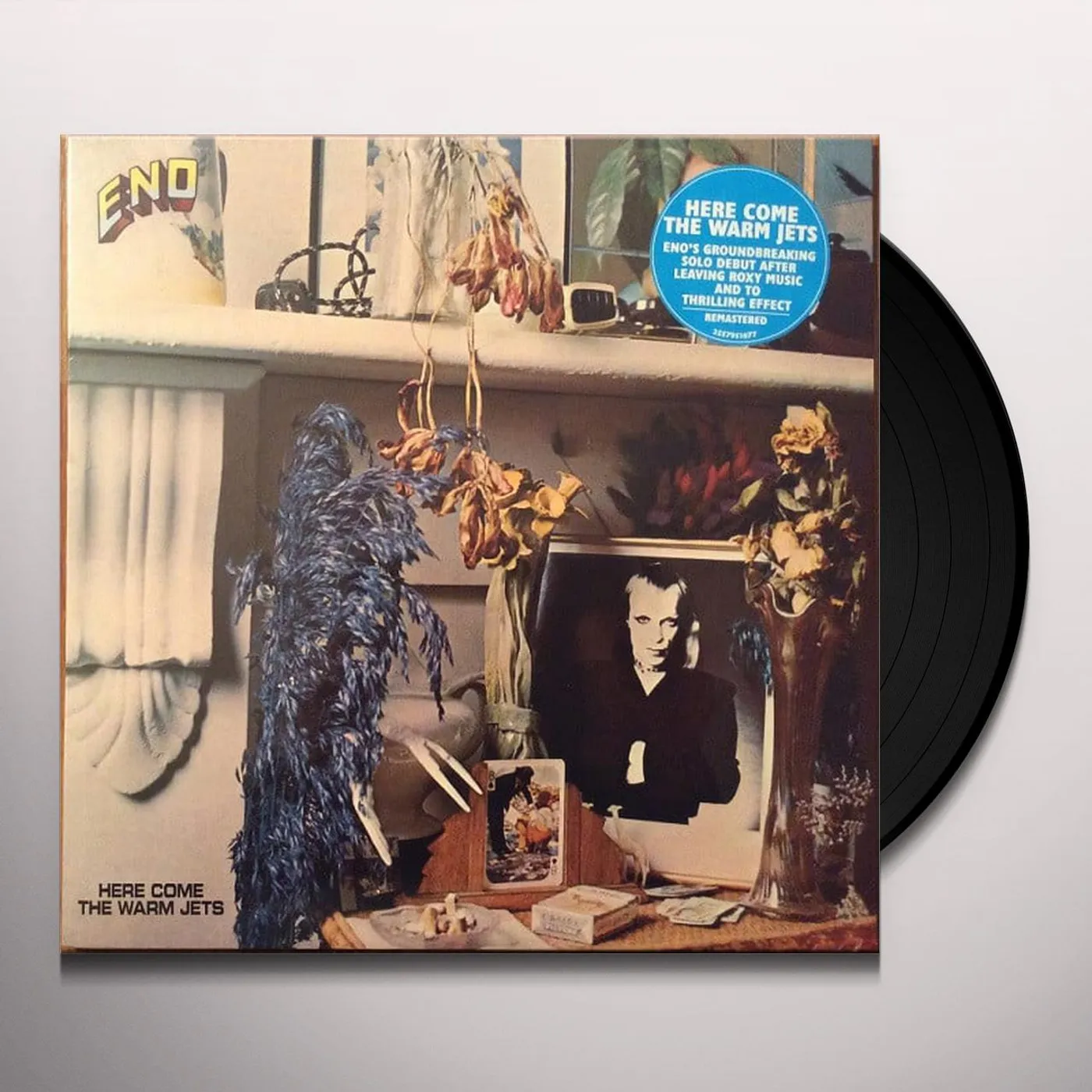 Brian Eno Here Come The Warm Jets (LP) Vinyl Record