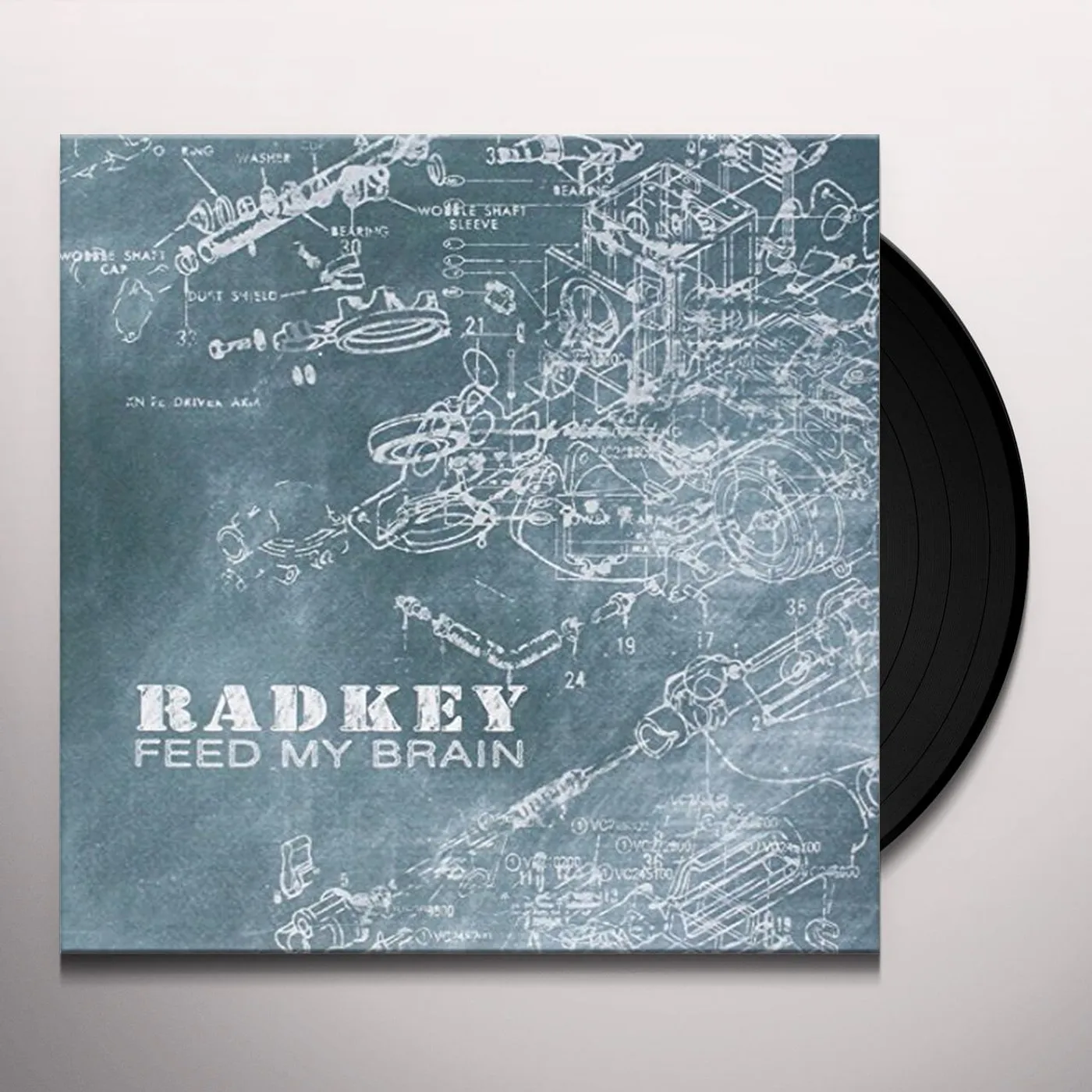 Radkey Feed My Brain Vinyl Record