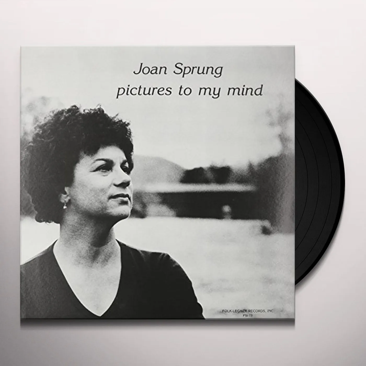 Joan Sprung Pictures to My Mind Vinyl Record