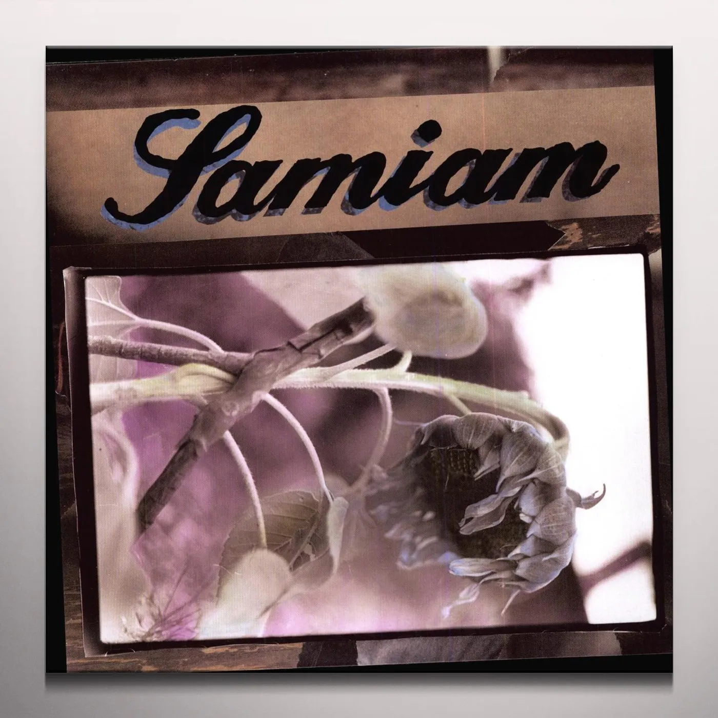 Samiam Vinyl Record