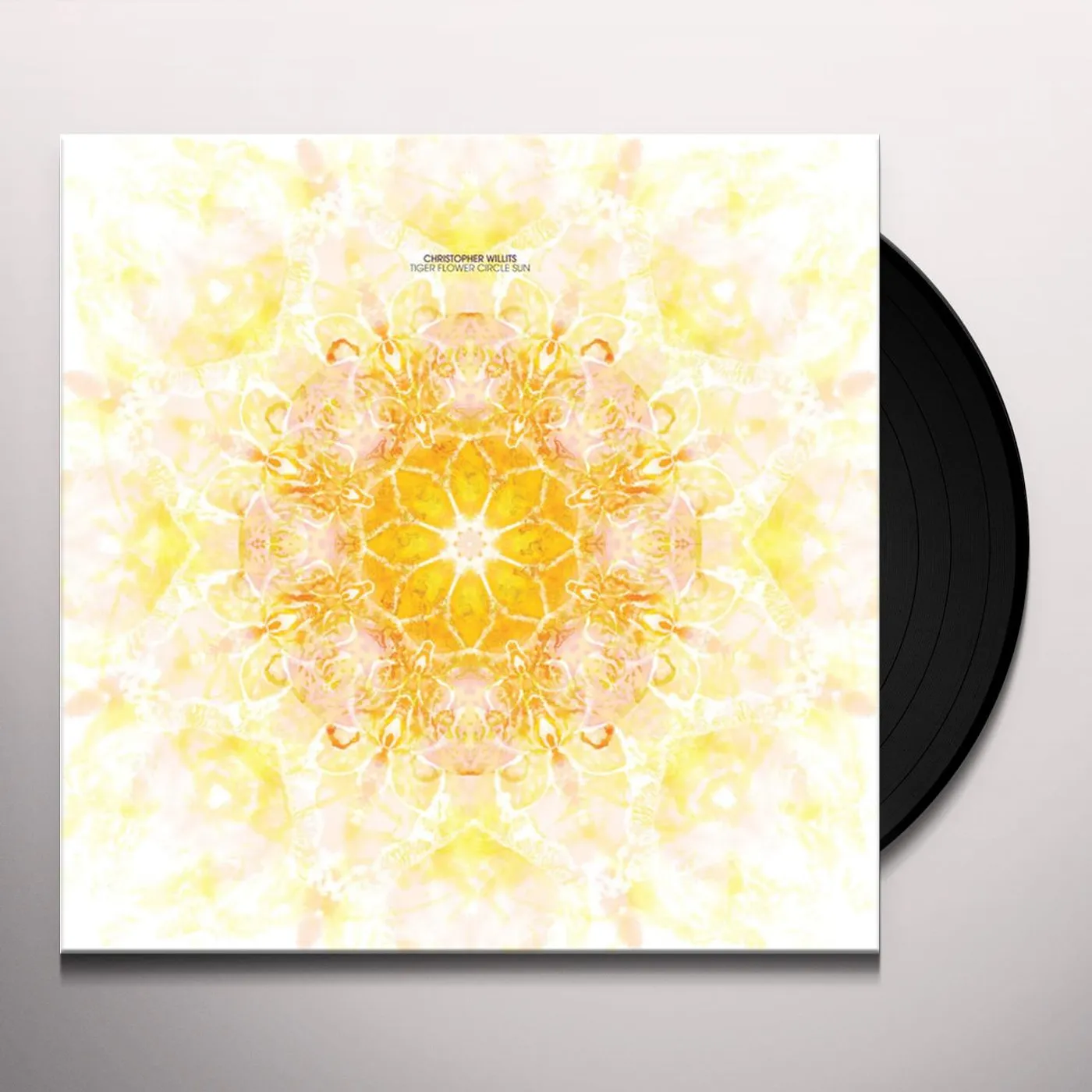 Christopher Willits Tiger Flower Circle Sun Vinyl Record