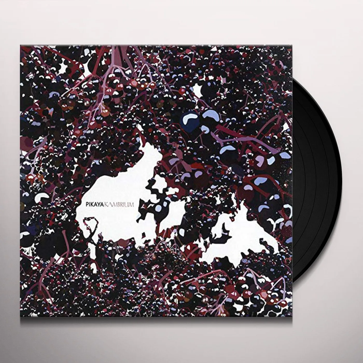Pikaya Kambrium Vinyl Record