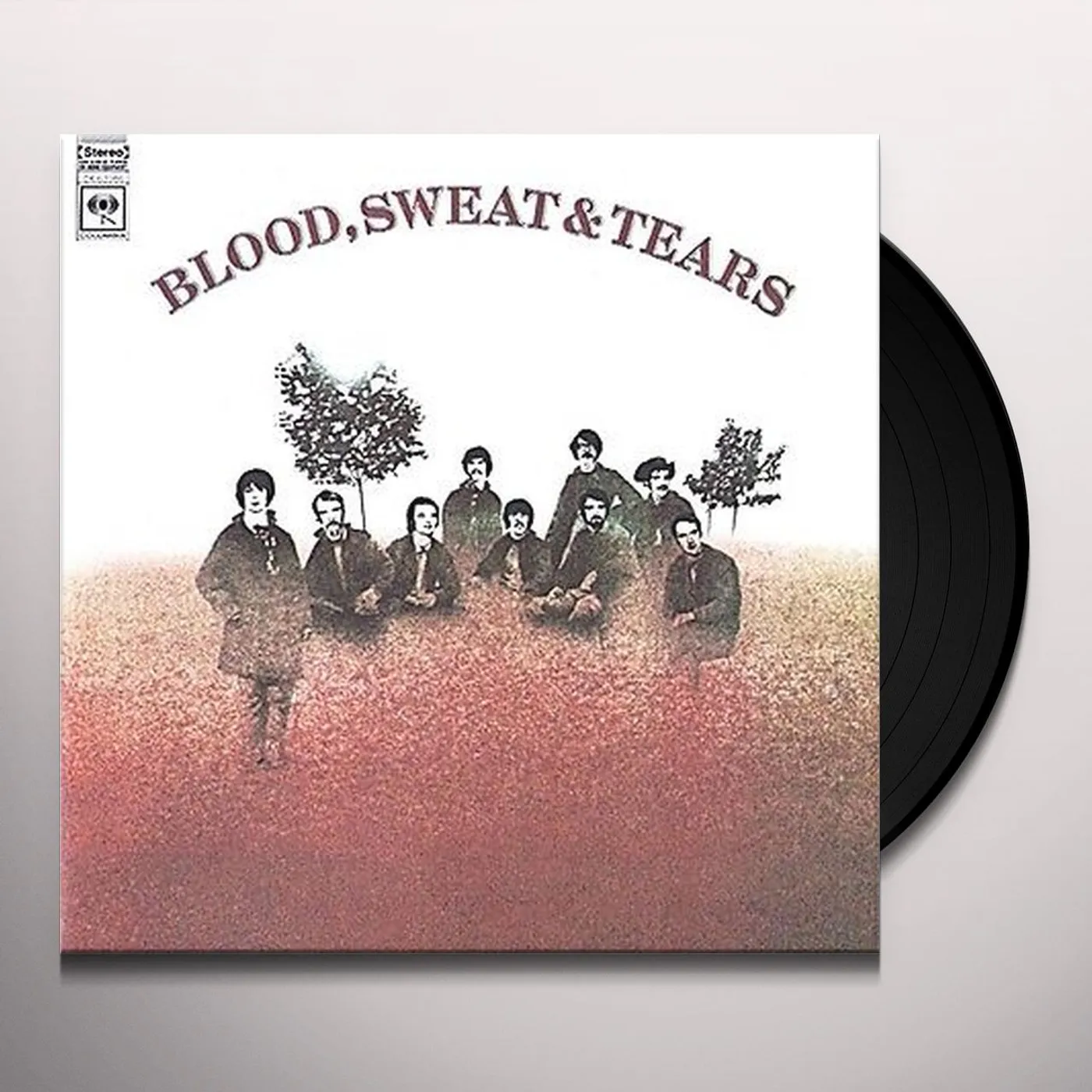 Blood, Sweat & Tearscord (Vinyl)