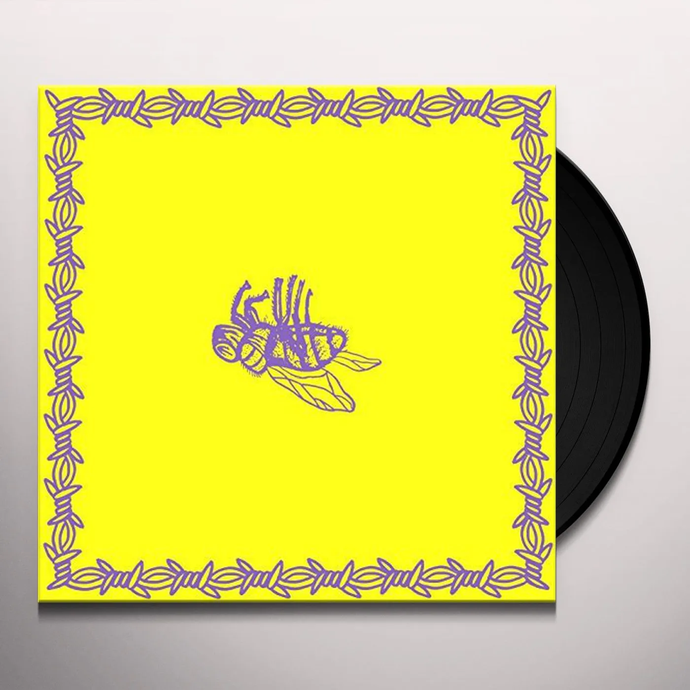 Milk Teeth Be Nice Vinyl Record