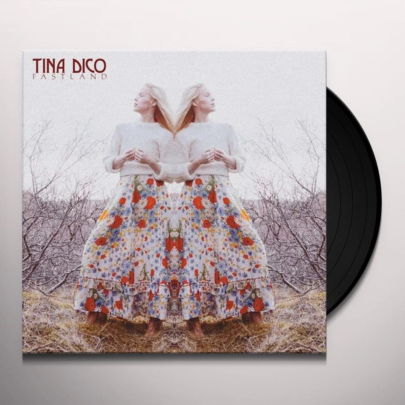Tina Dico Fastland Vinyl Record