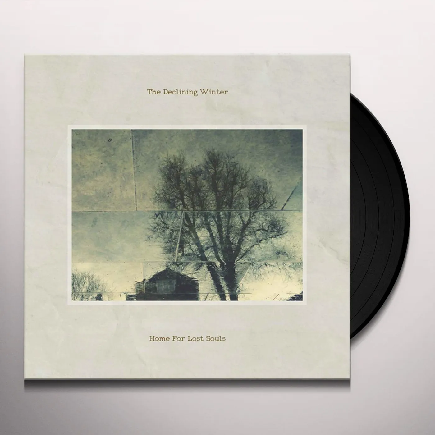 The Declining Winter Home For Lost Souls Vinyl Record