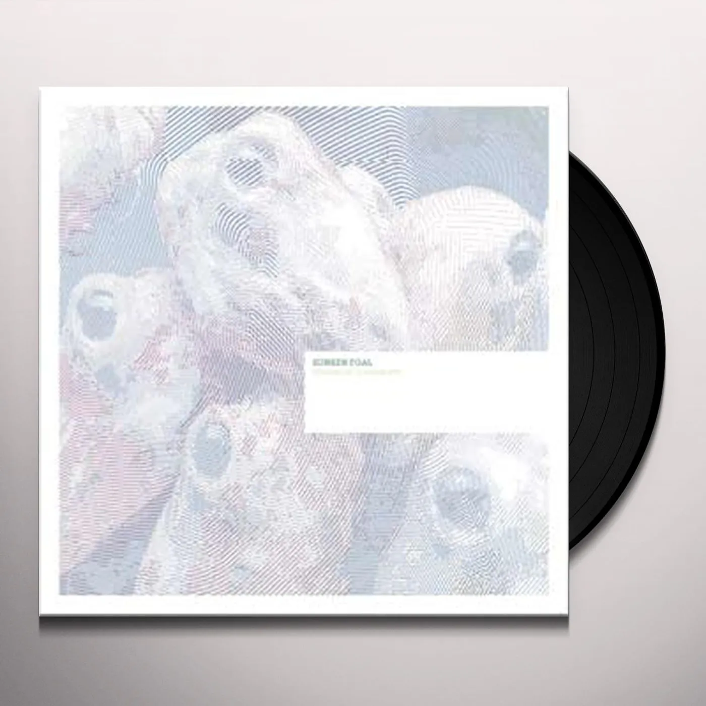 Sunken Foal Fermented Condiments Vinyl Record