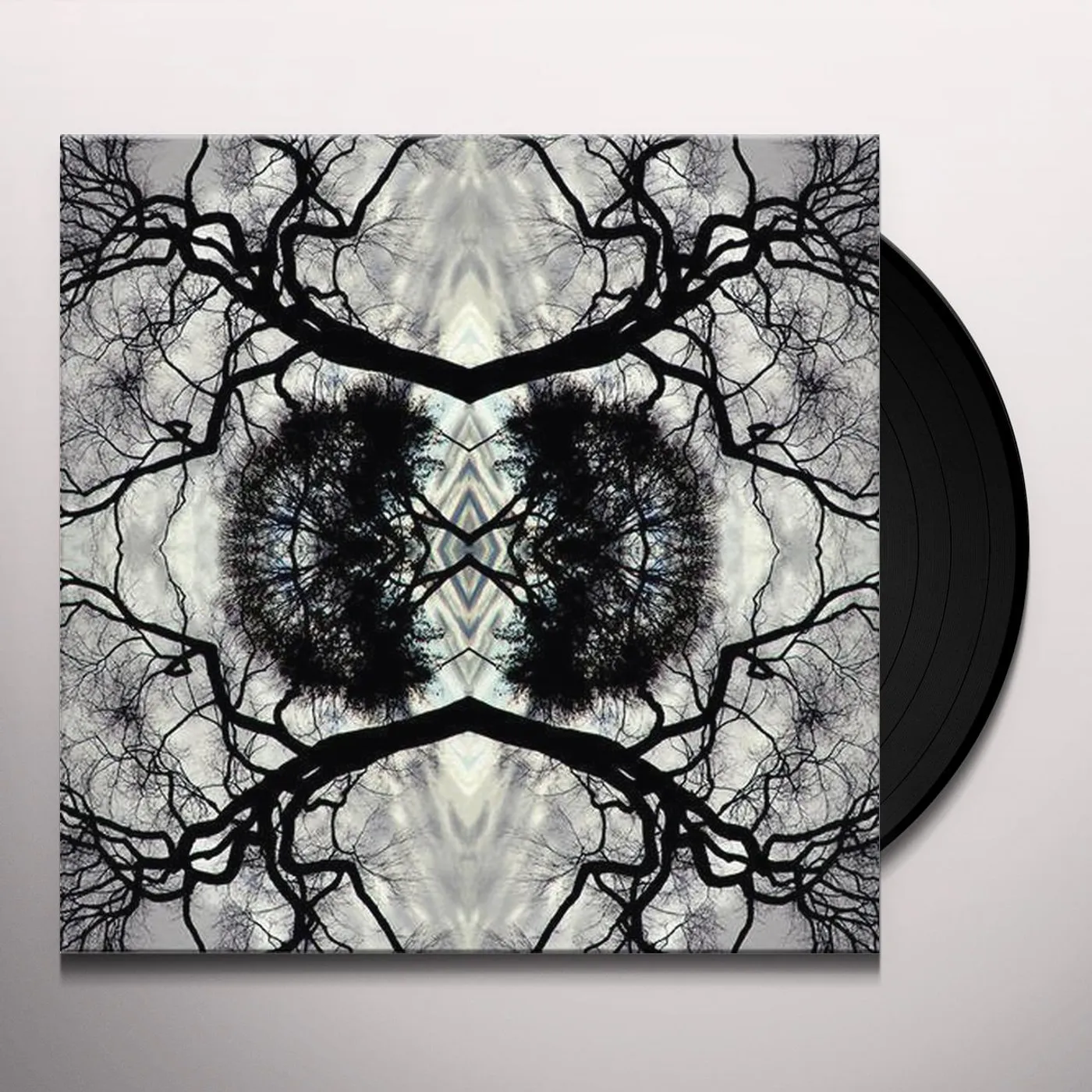 Adam Rudolph SONIC MANDALA GO: ORGANIC ORCHESTRA Vinyl Record