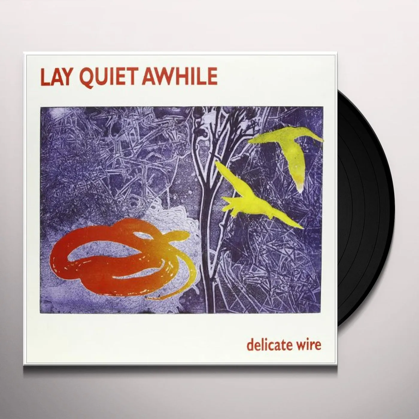 Lay Quiet Awhile DELICATE WIRE Vinyl Record