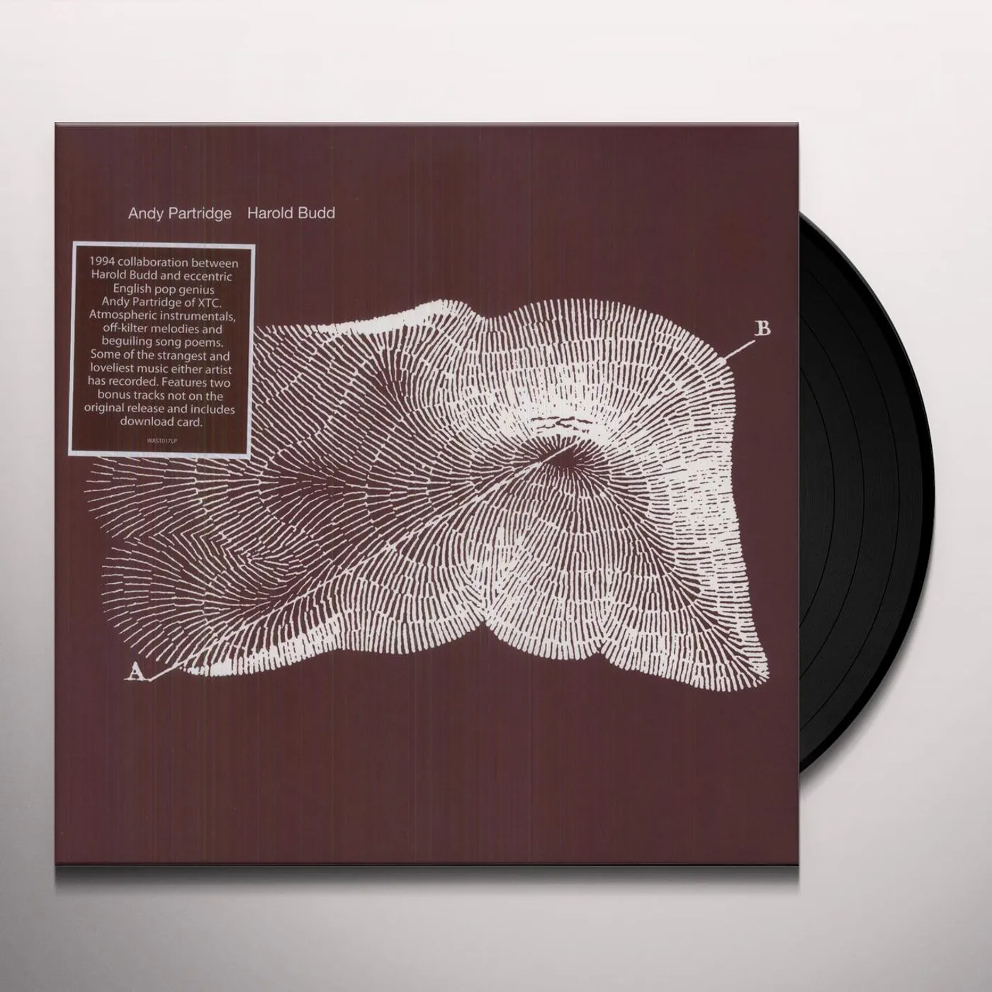 Andy Partridge / Harold Budd Through The Hill Vinyl Record