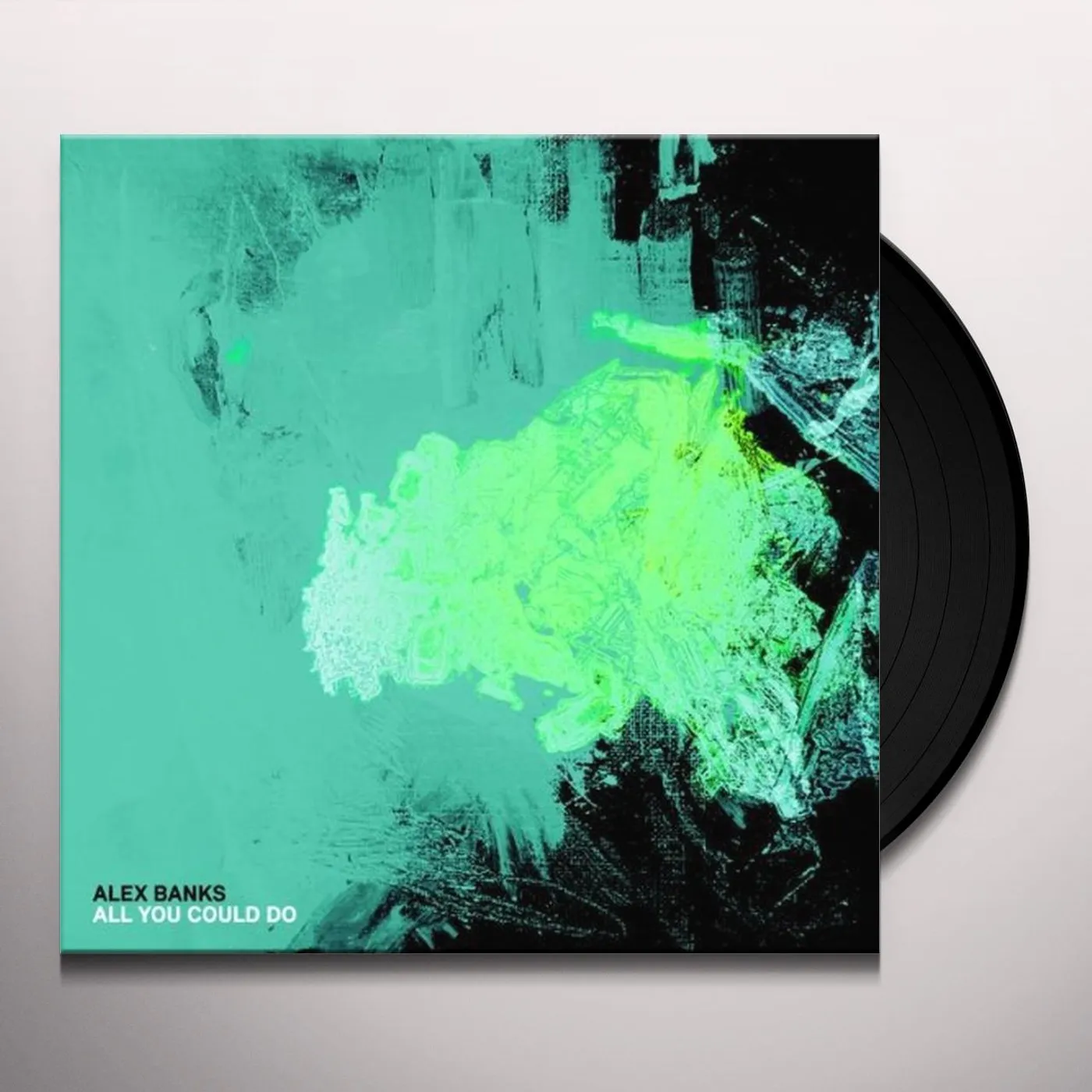 Alex Banks All You Could Do Vinyl Record