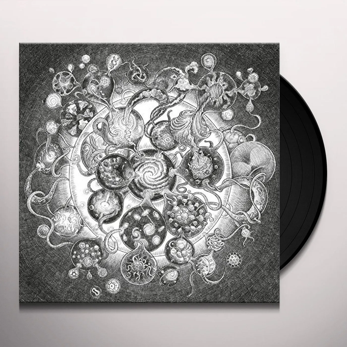 Long Distance Calling Vinyl Record