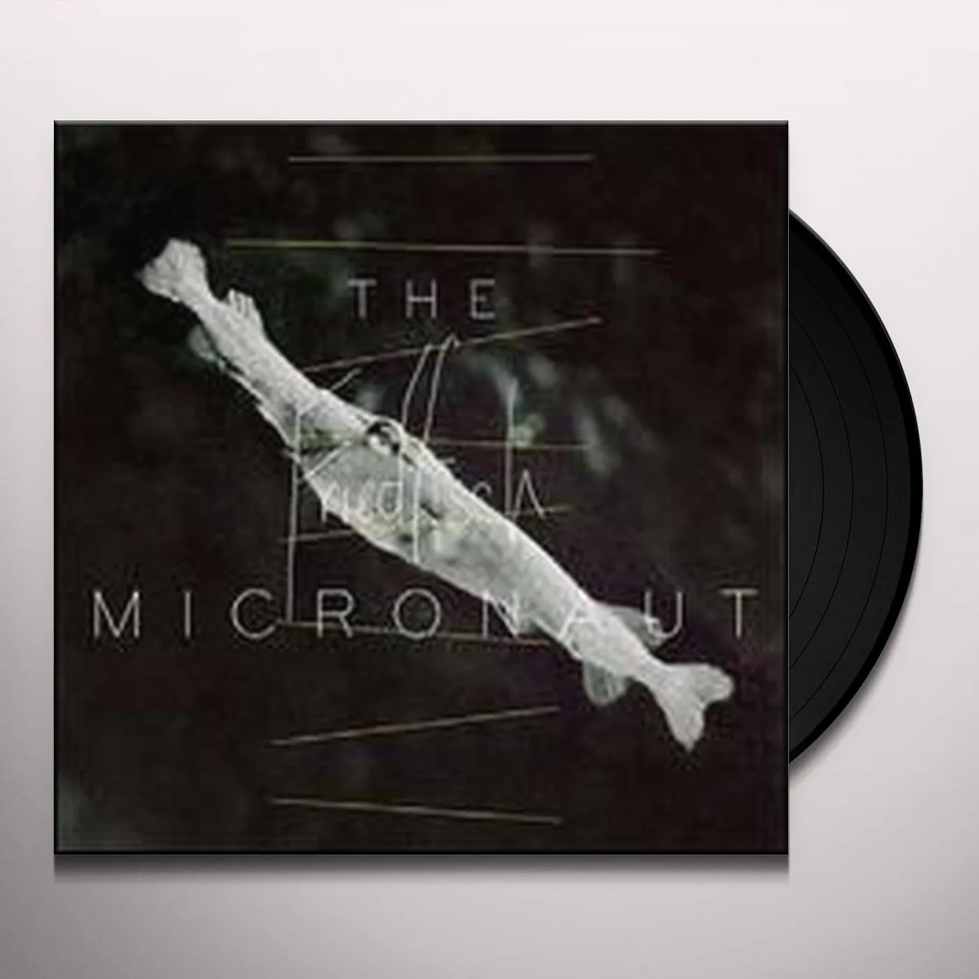 Micronaut FRIEDFISCH Vinyl Record