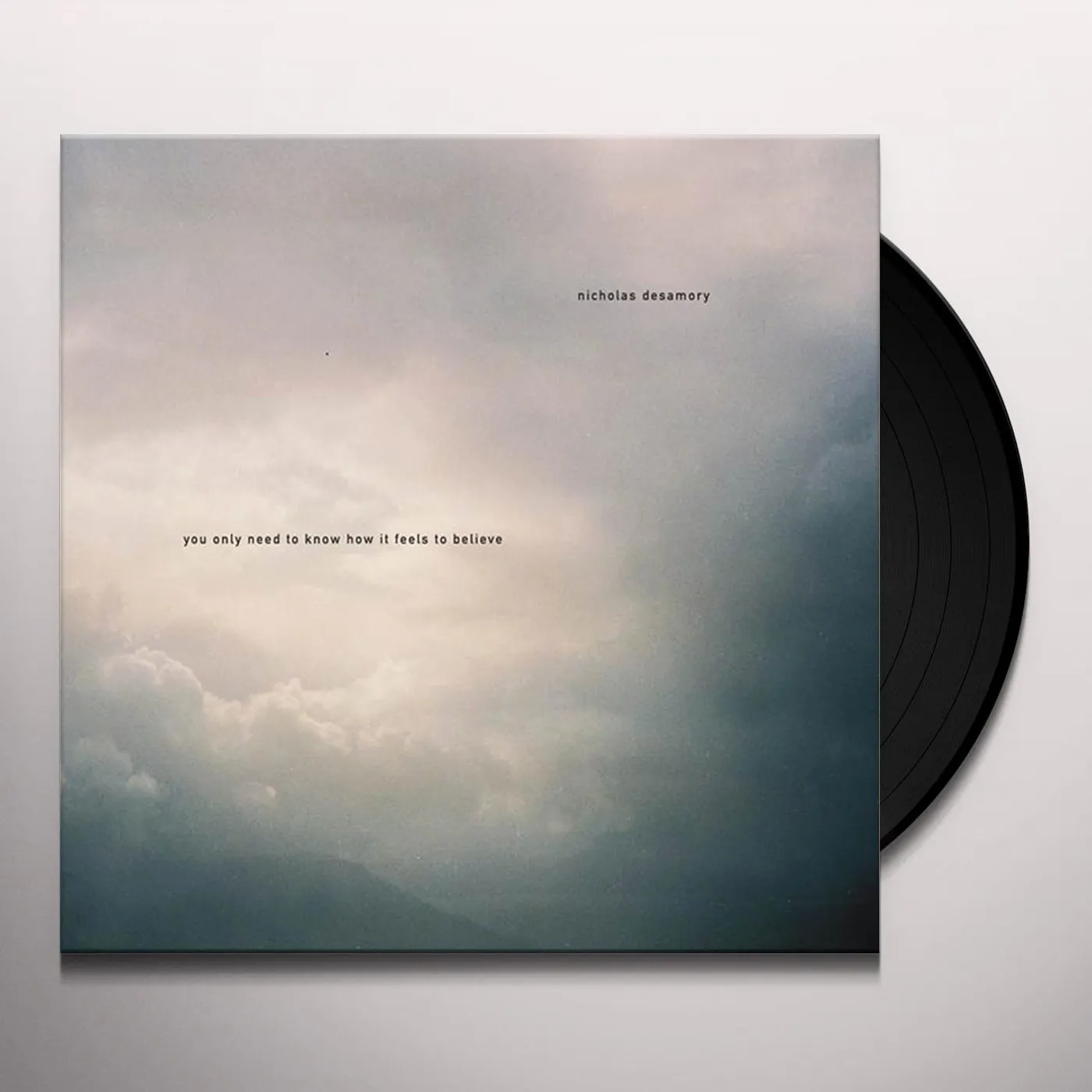 Nicholas Desamory YOU ONLY NEED TO KNOW HOW IT FEELS TO BELIEVE Vinyl Record