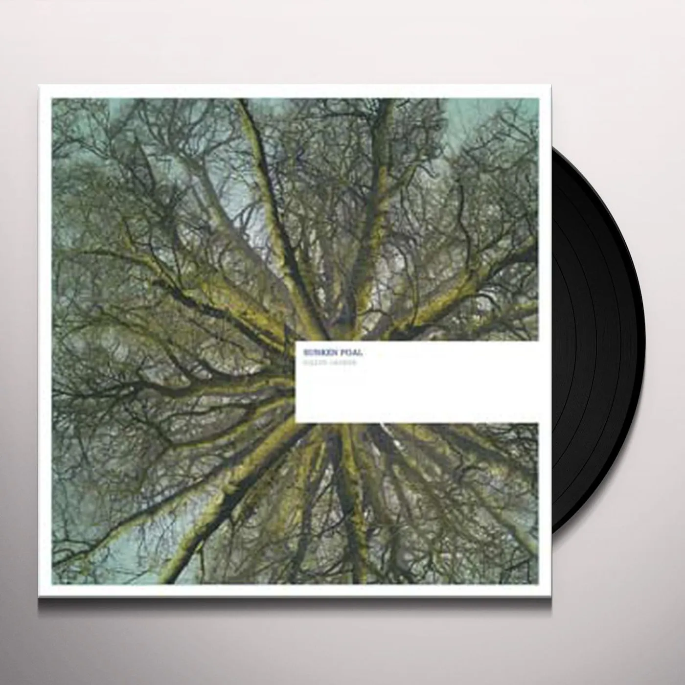Sunken Foal Fallen Arches Vinyl Record