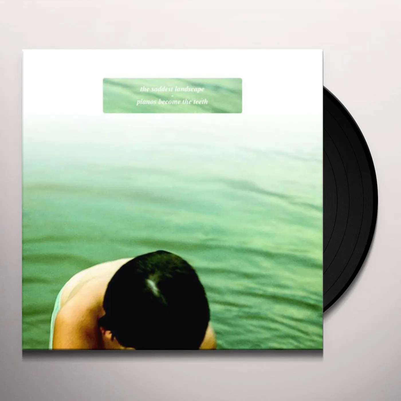 Saddest Landscape / Piano Become The Teeth SPLIT Vinyl Record