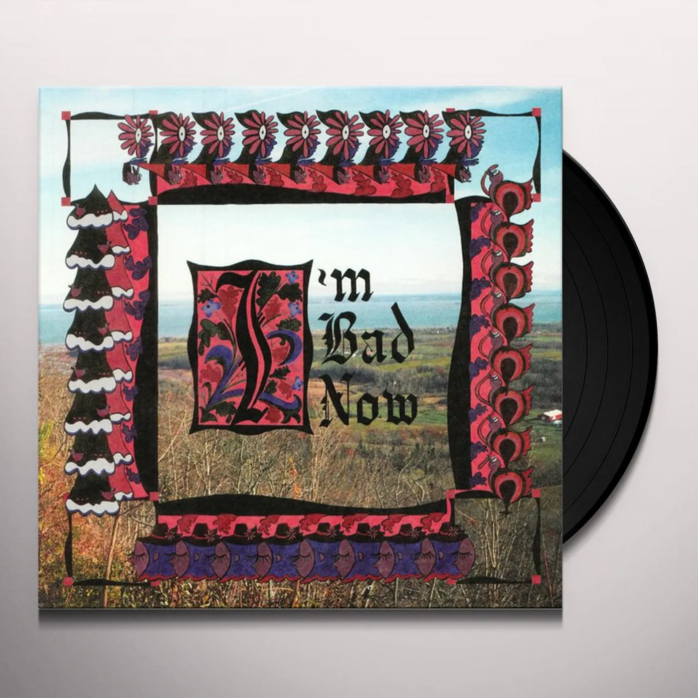 Nap Eyes I'M BAD NOW Vinyl Record