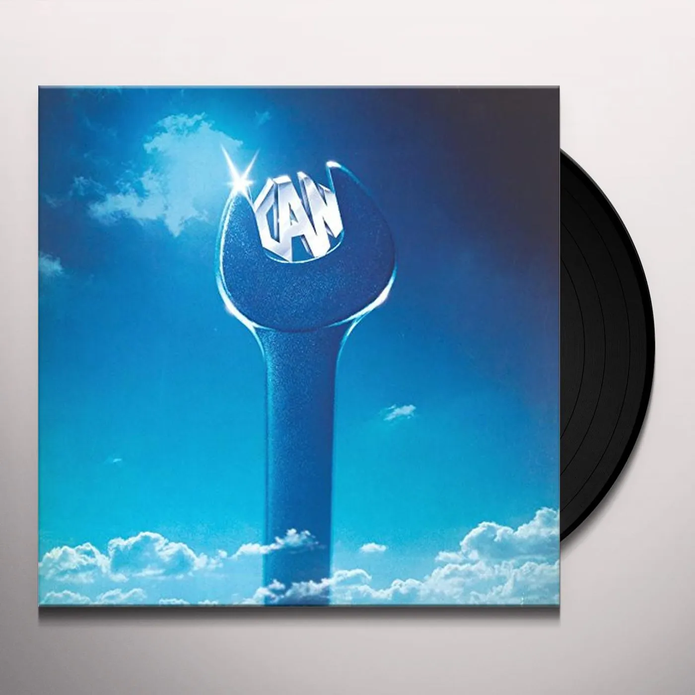 Can Vinyl Record