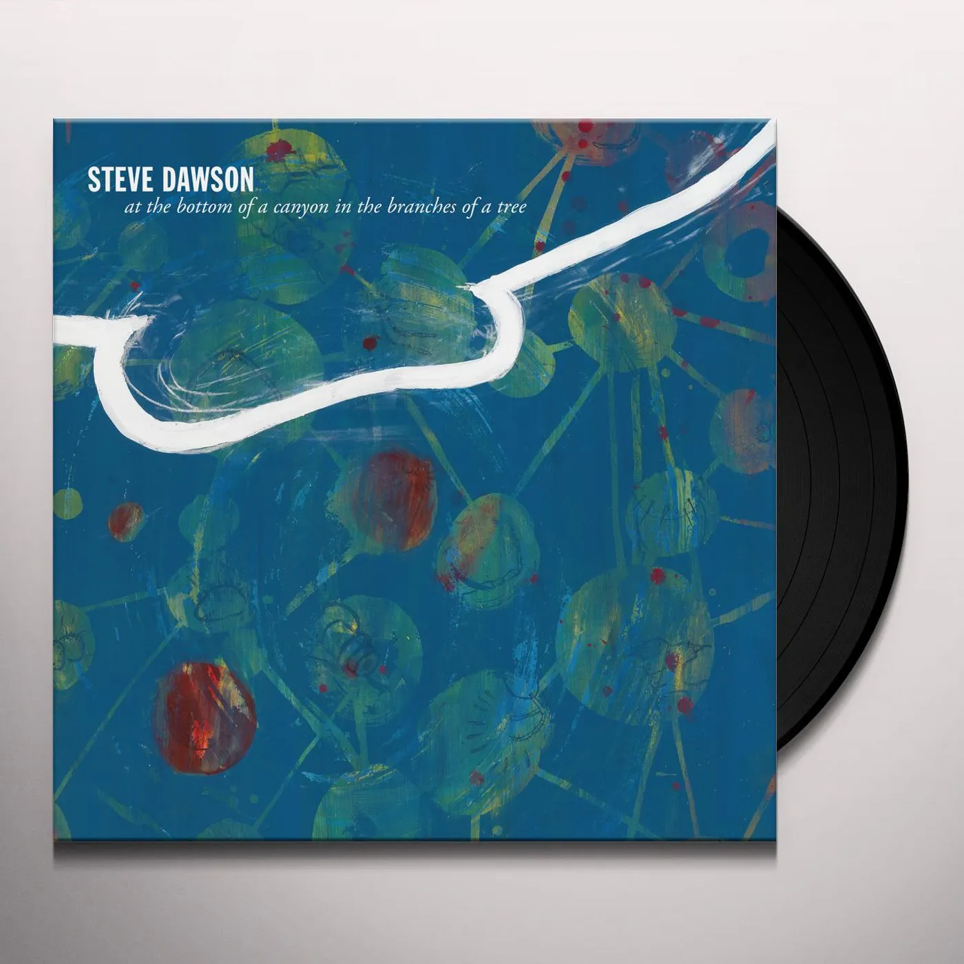 Steve Dawson AT THE BOTTOM OF A CANYON IN THE BRANCHES OF TREE Vinyl Record