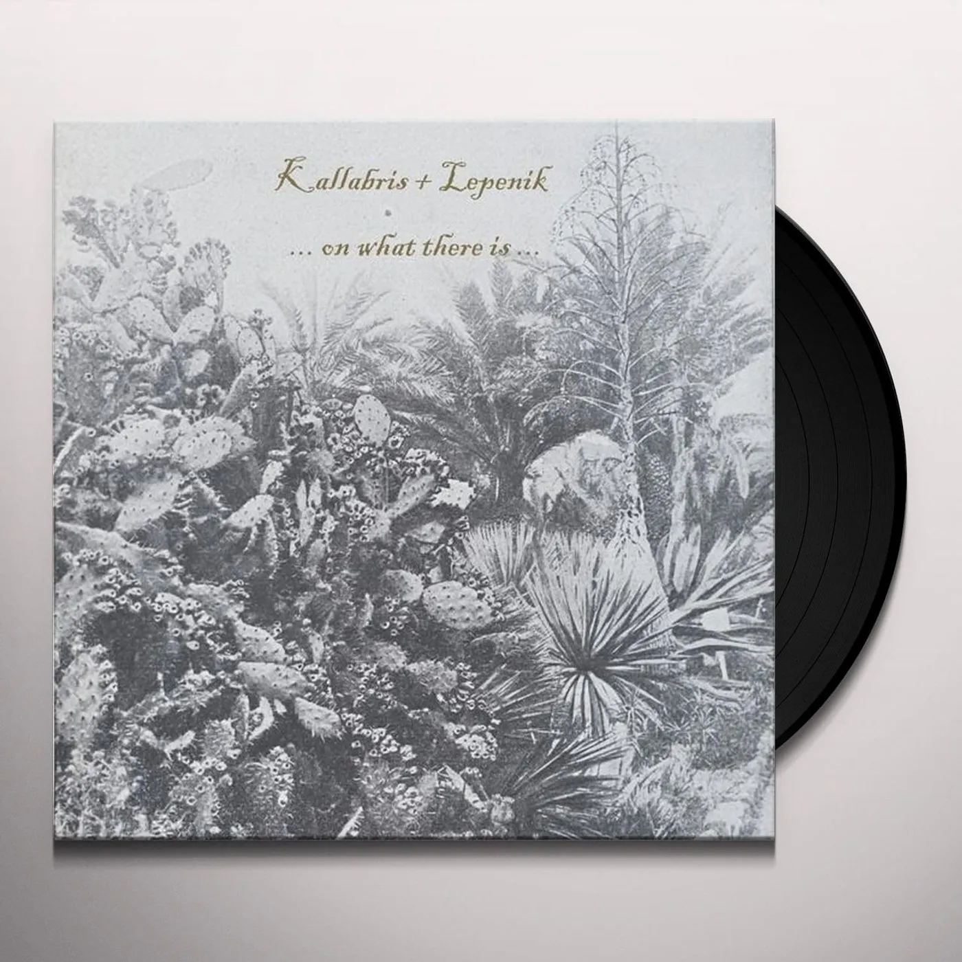 KALLABRIS + LEPENIK ON WHAT THERE IS Vinyl Record