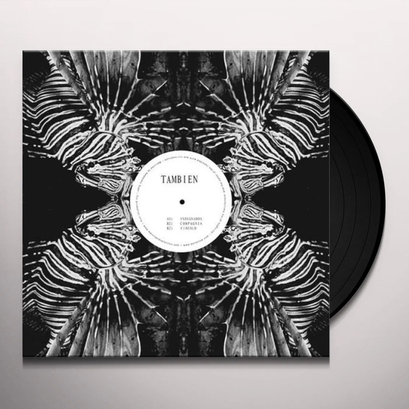 TAMBIEN PROJECT Vinyl Record