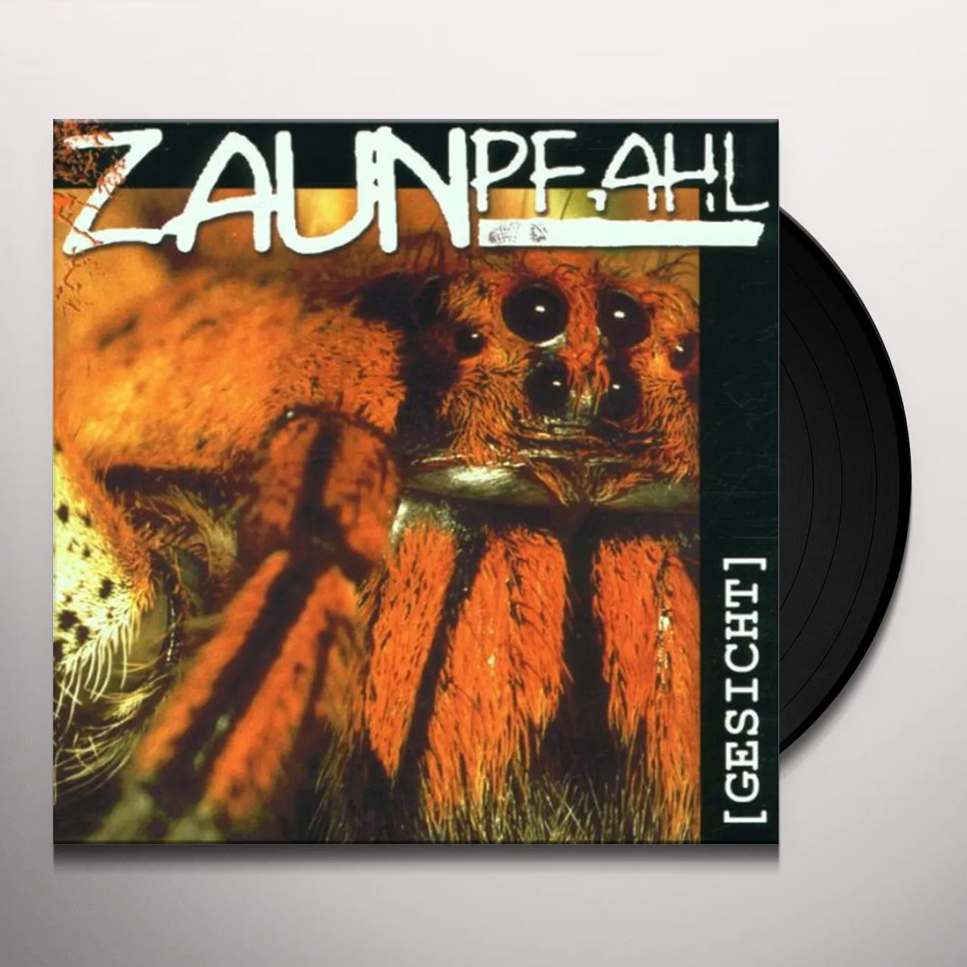 Zaunpfahl GESICHT (GER) Vinyl Record