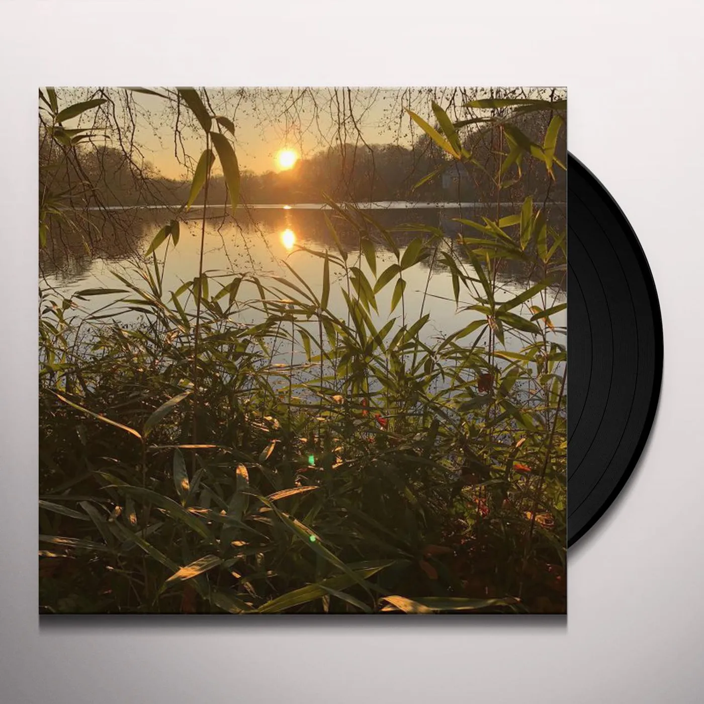 Greg Foat / James Thorpe PHOTOSYNTHESIS Vinyl Record